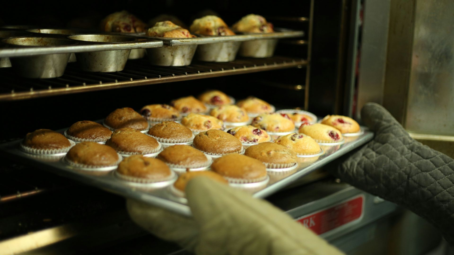 person holds tray of muffins on tray
