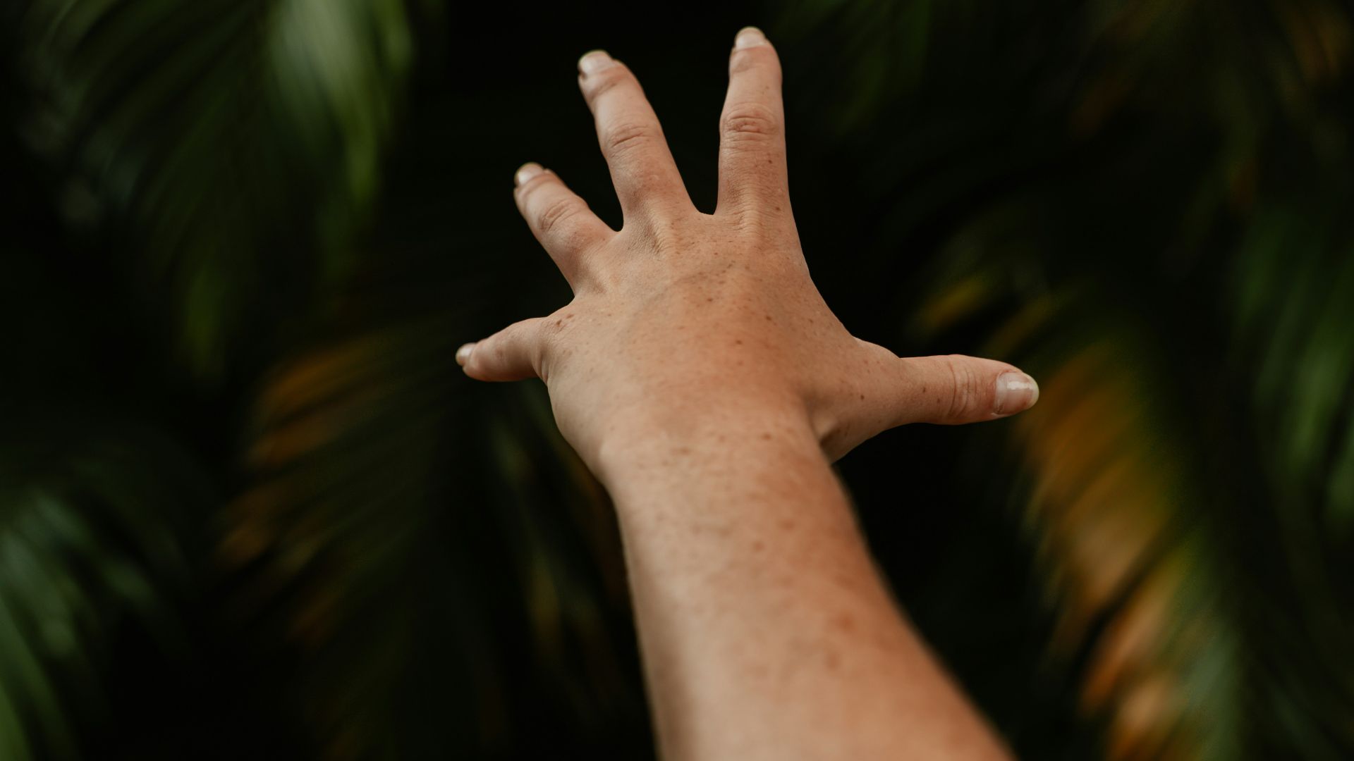 a hand with a palm tree in the background