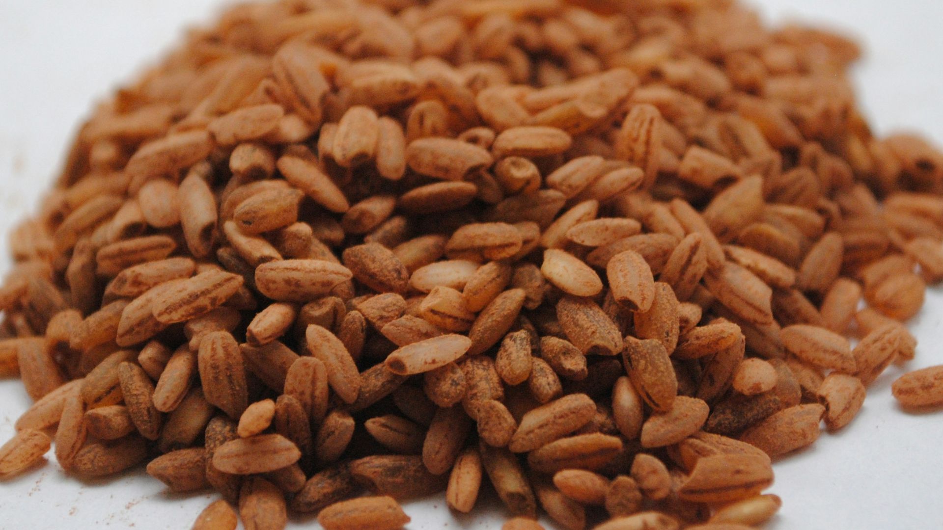 brown peanuts on white ceramic plate