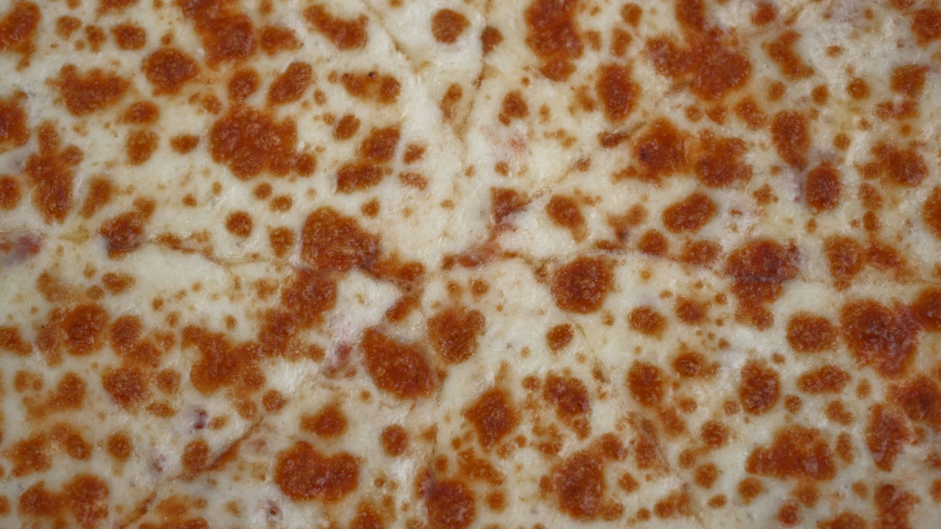 a close up of a pizza with lots of cheese