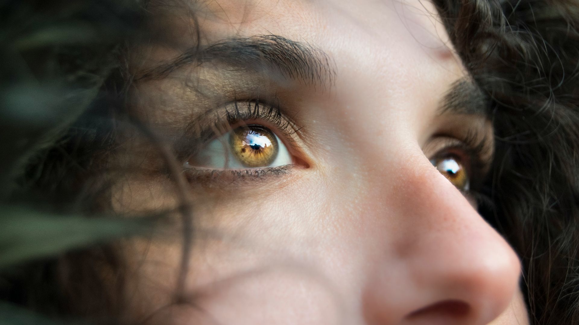 closeup photo of person