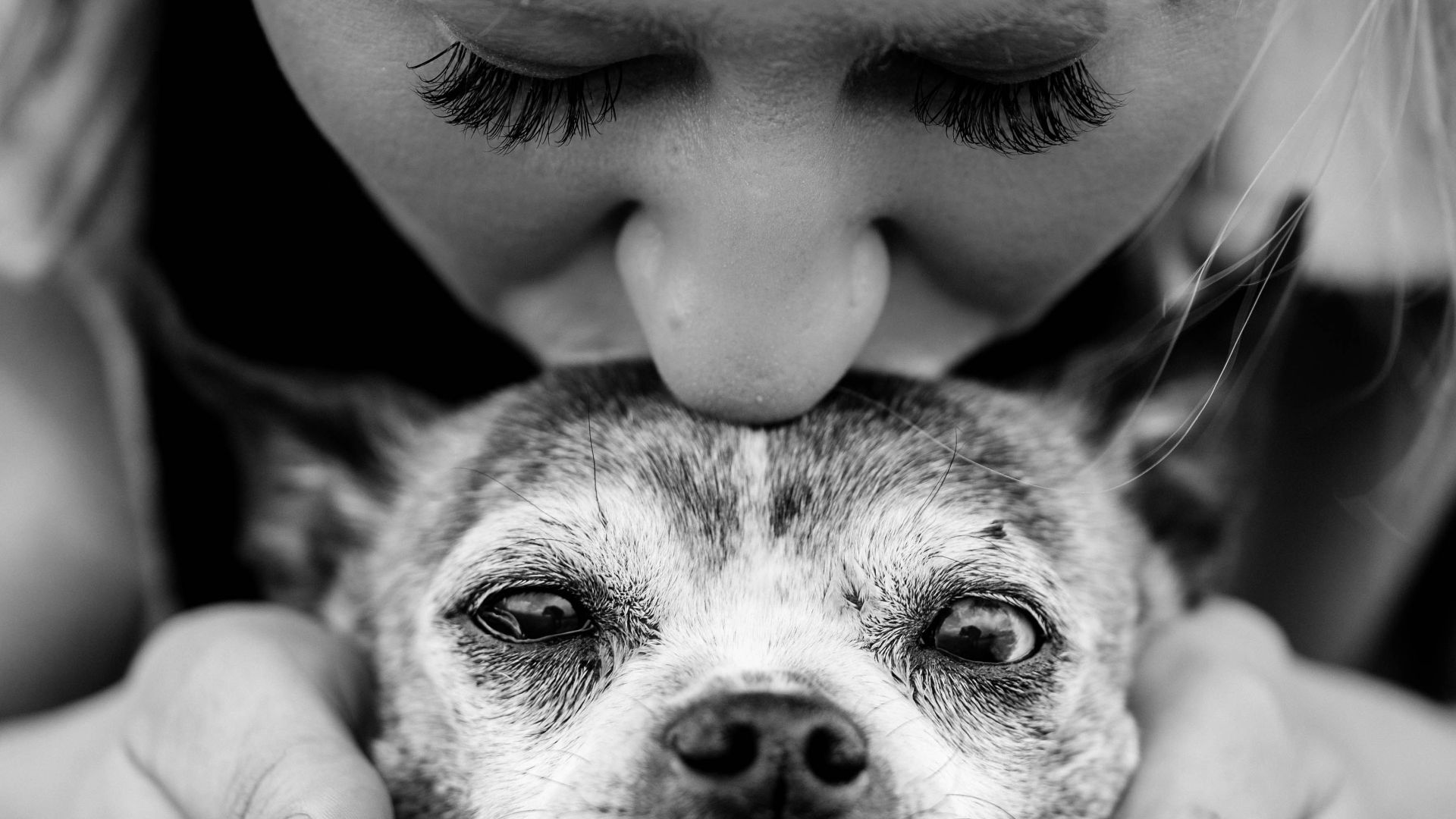 a woman holding a dog in her hands