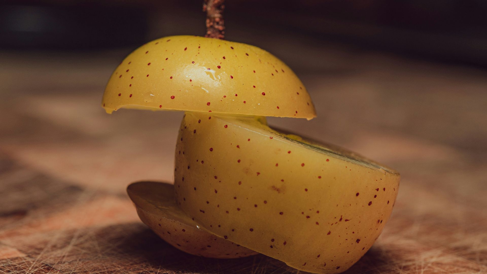 yellow mushroom on brown sand