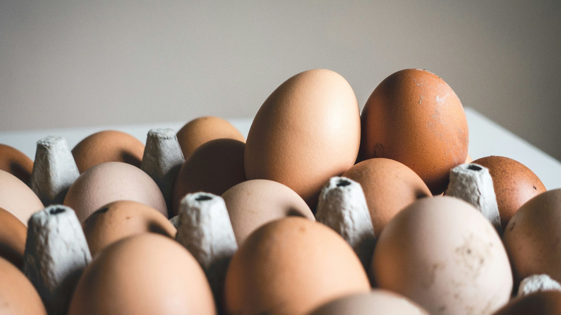 shallow focus photography of brown eggs