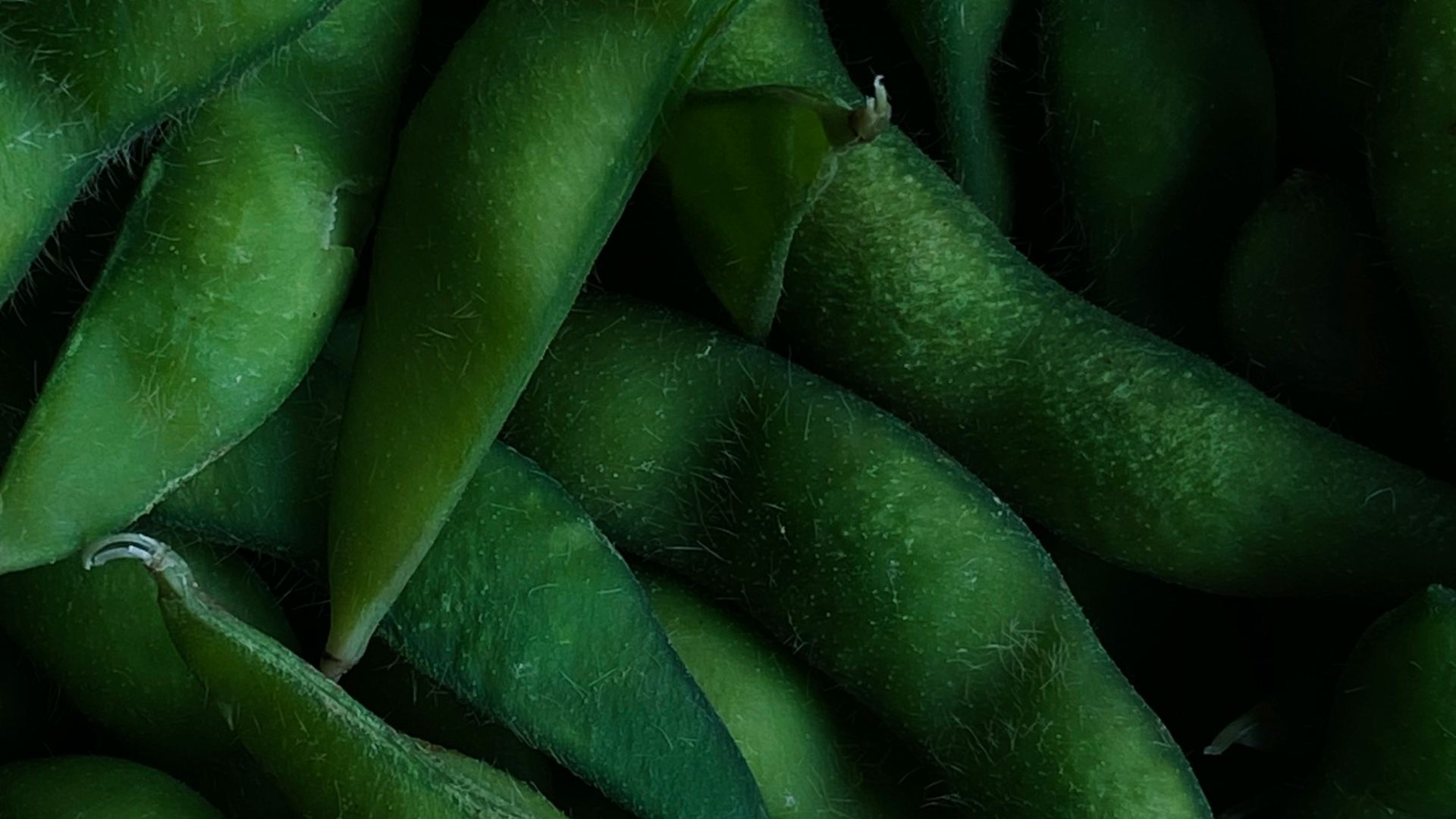 a pile of green beans sitting next to each other