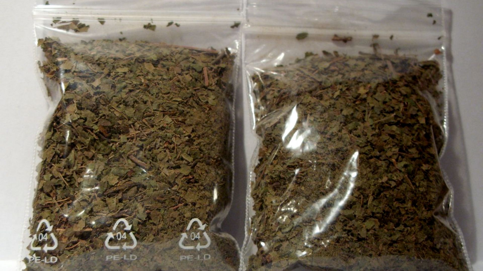 File:Kratom (Mitragyna speciosa) Sumatra White Vein 20g.jpg