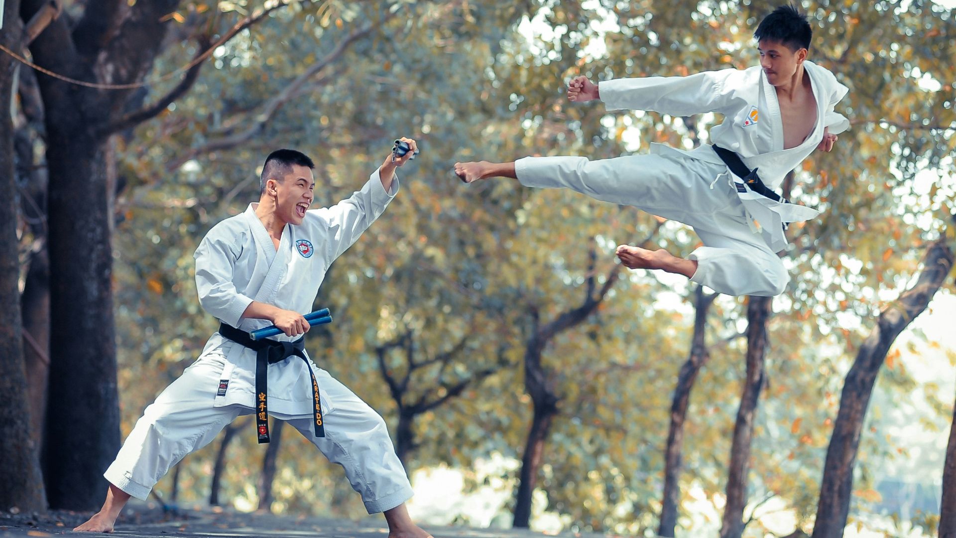 two men performing karate near trees during daytime