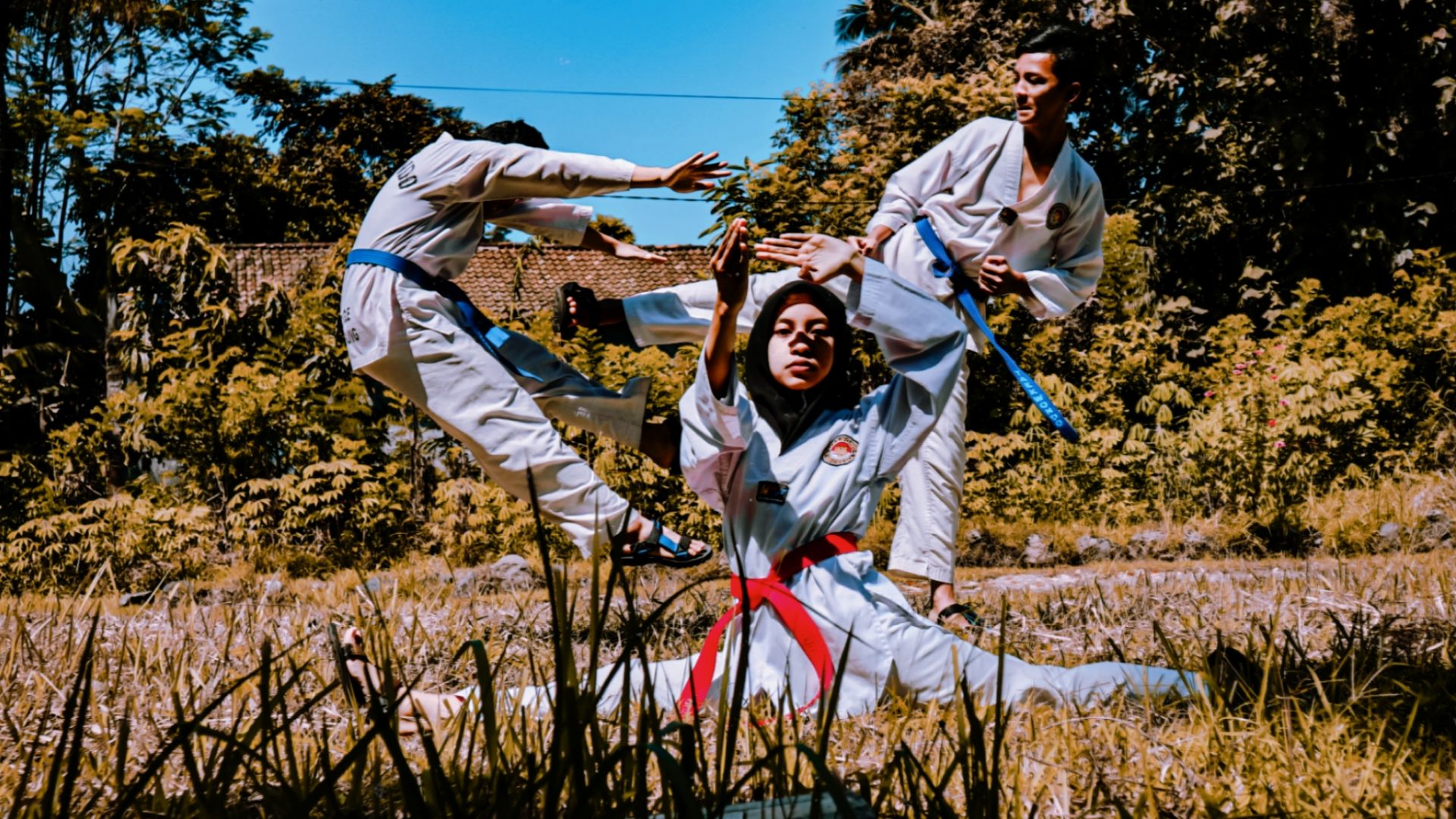 File:Basic Taekwondo.jpg