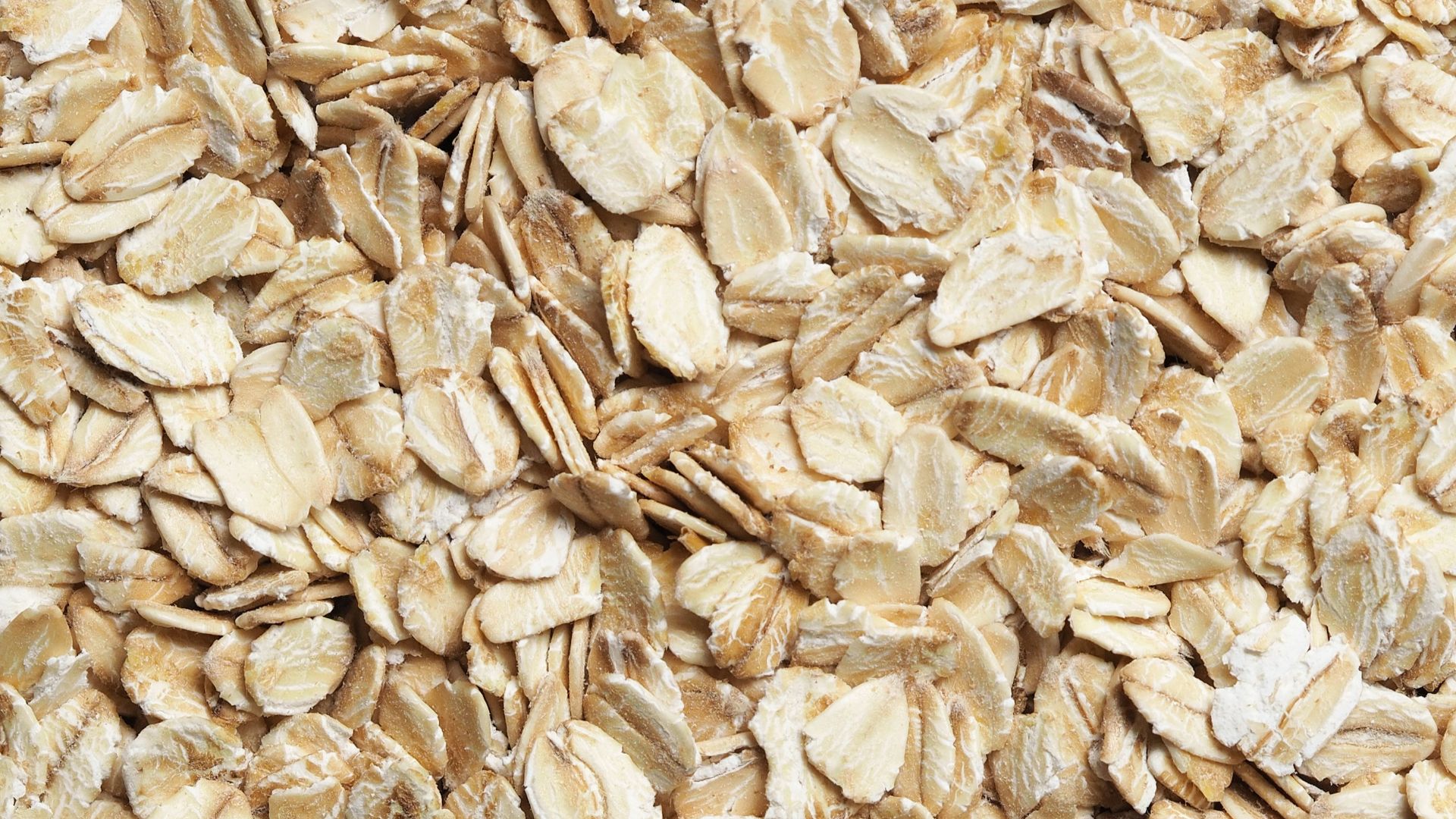 brown dried leaves on ground