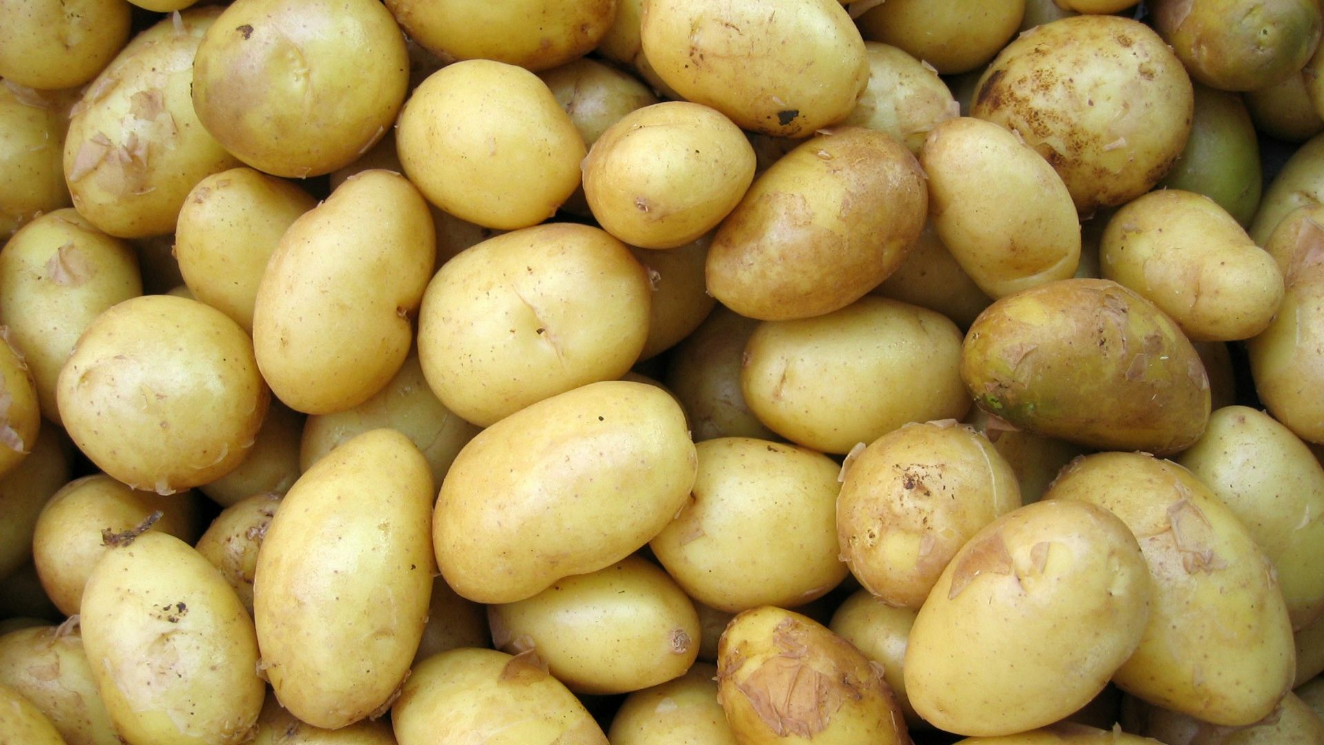 potatoes