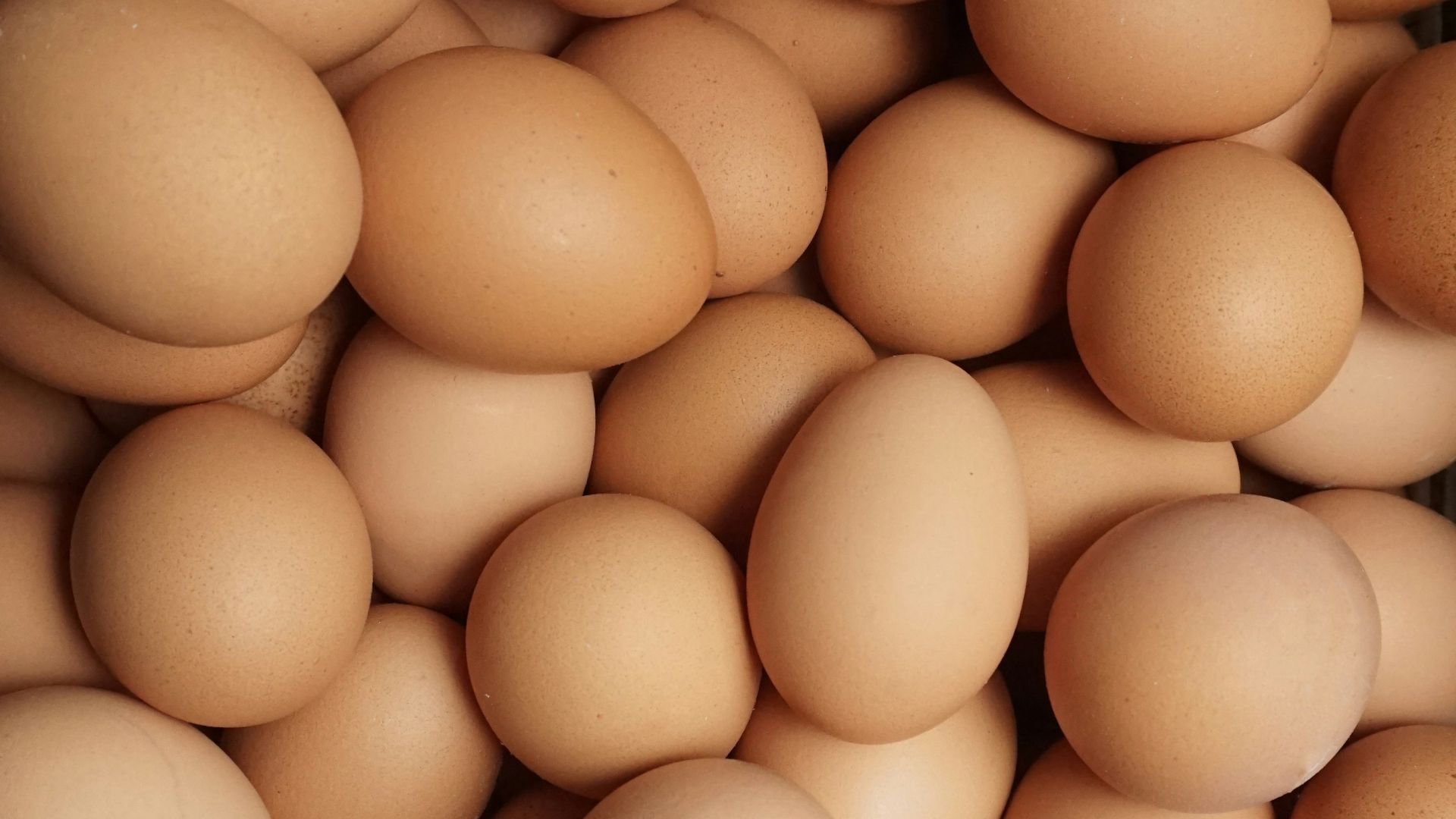 a pile of eggs sitting next to each other
