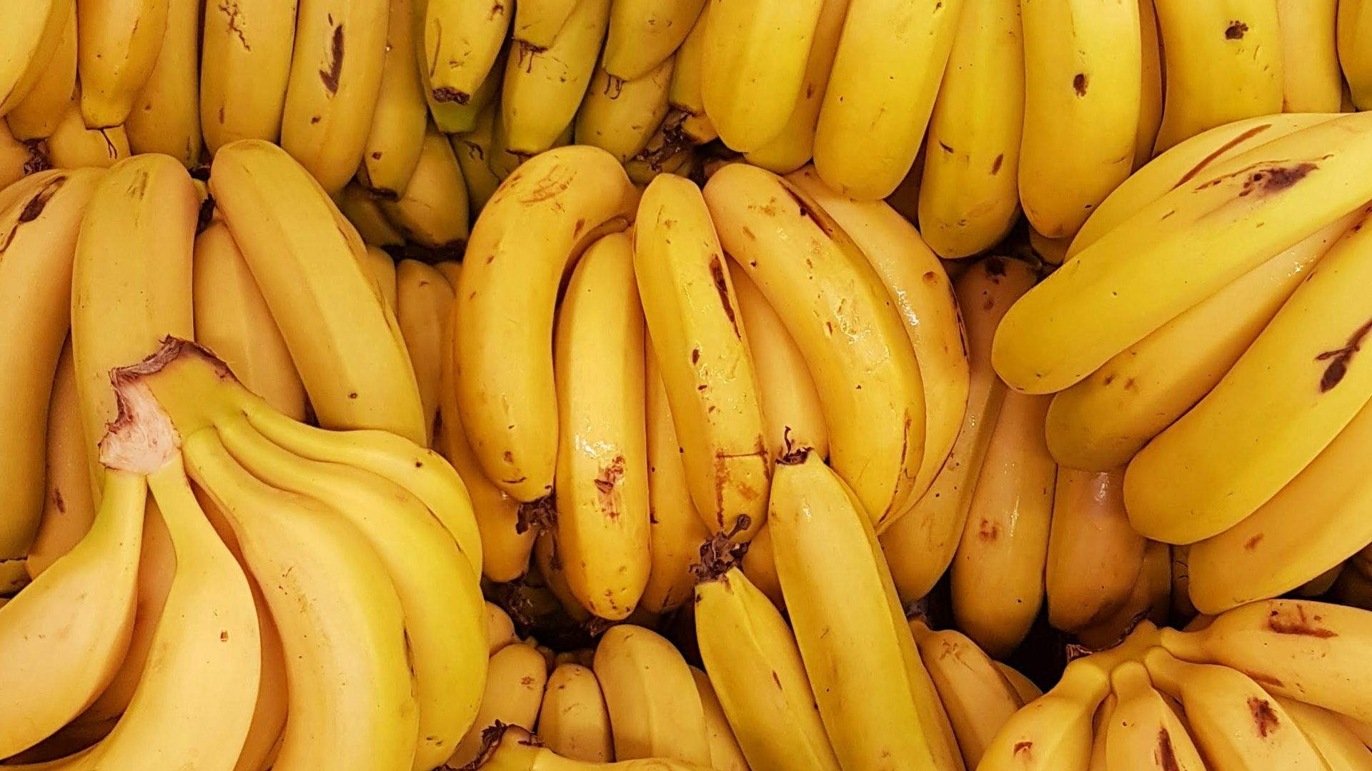 yellow banana fruit on brown wooden table