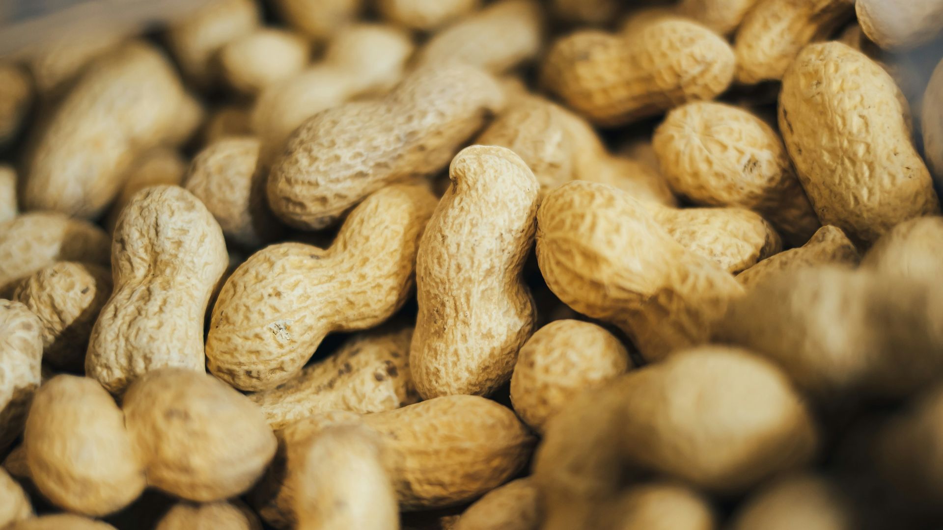 pile of peanuts