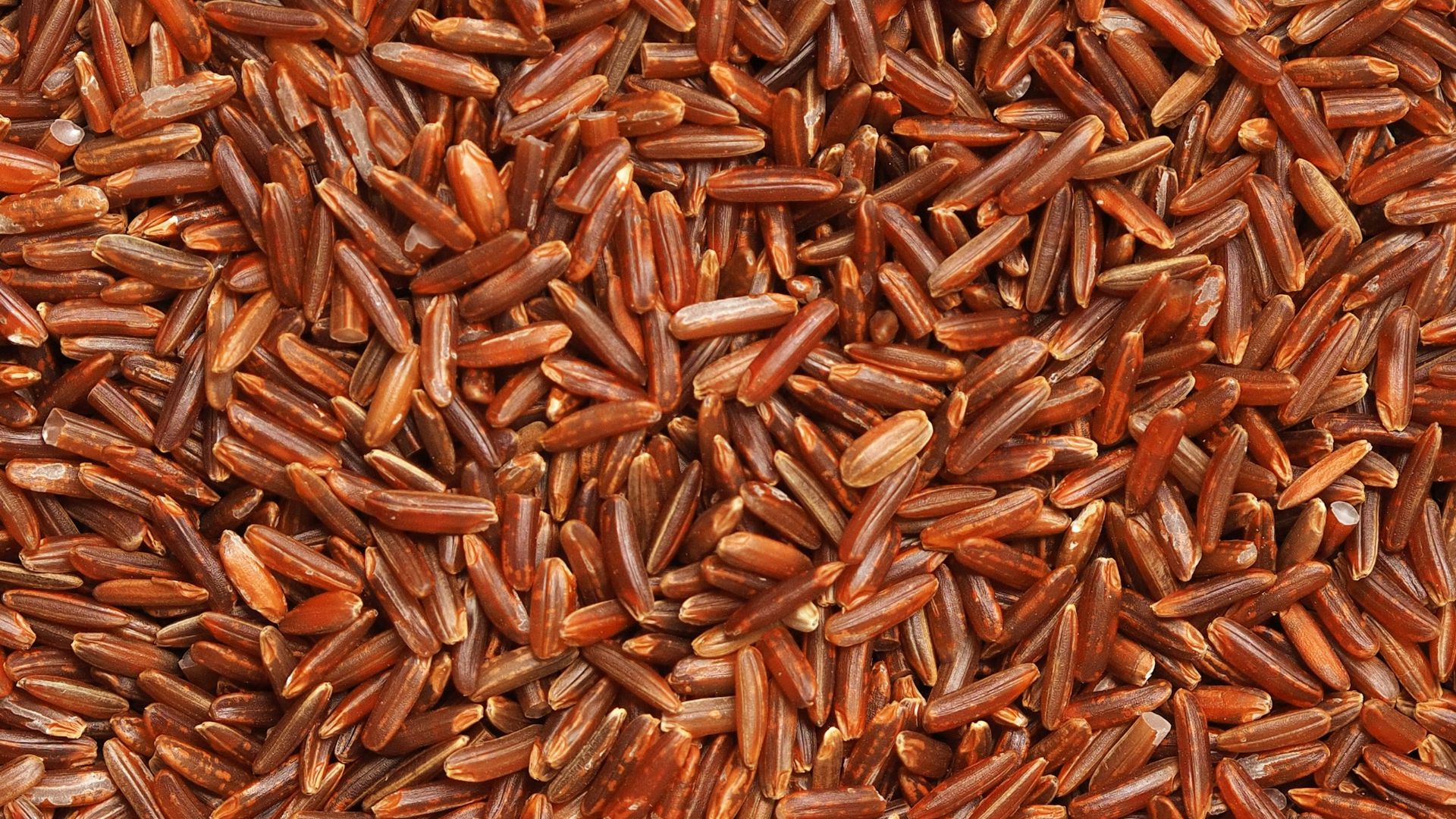 brown and white dried leaves