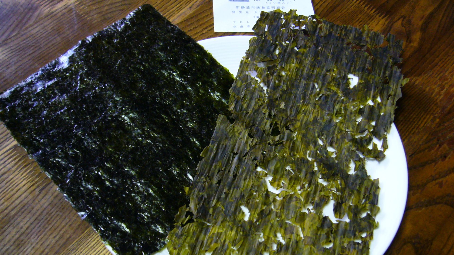 File:P. binghamiae,Haba-nori,Katsuura-city,Japan.JPG
