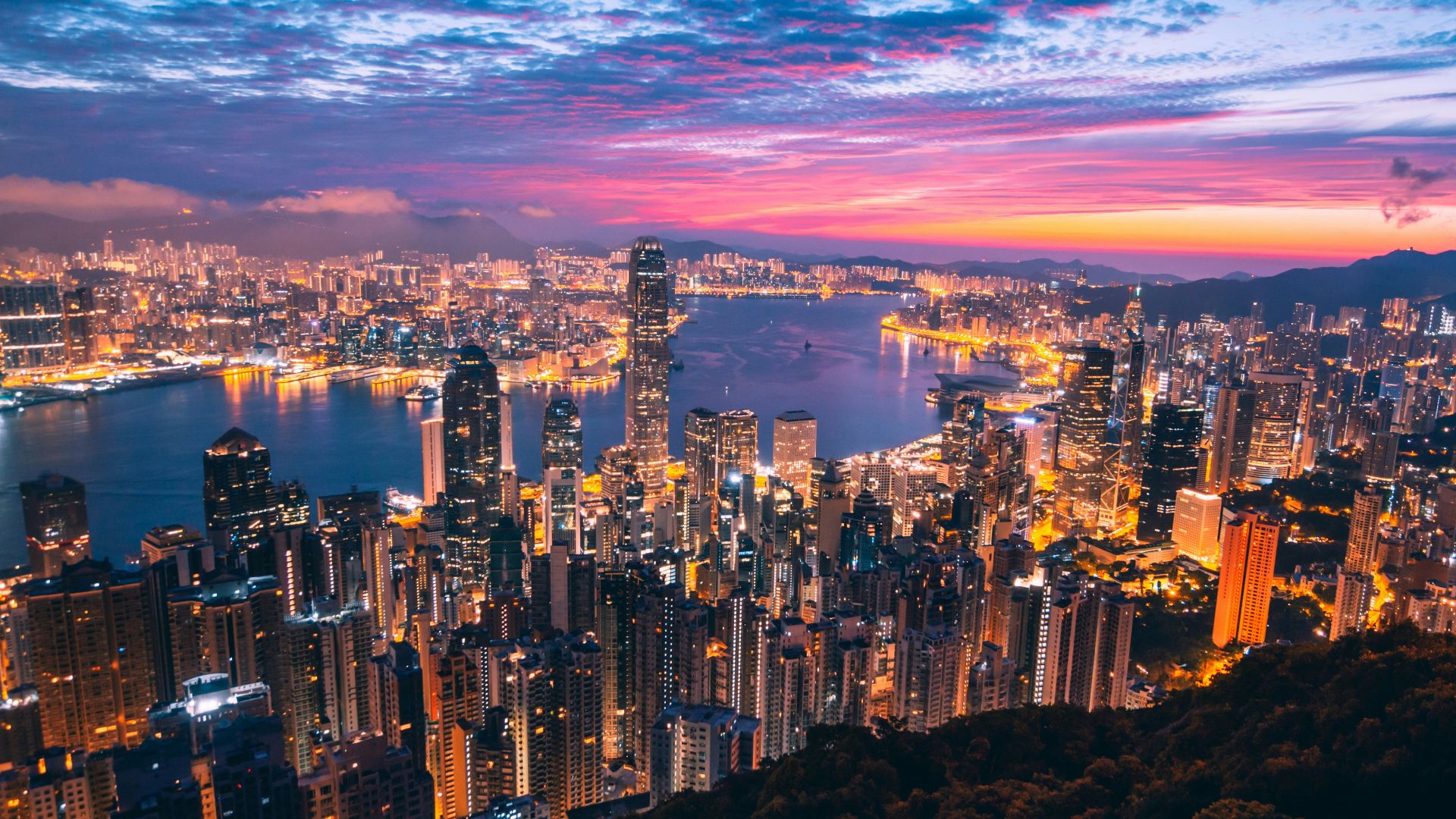 aerial photography of city buildings