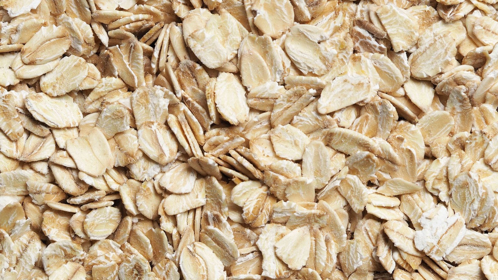 brown dried leaves on ground