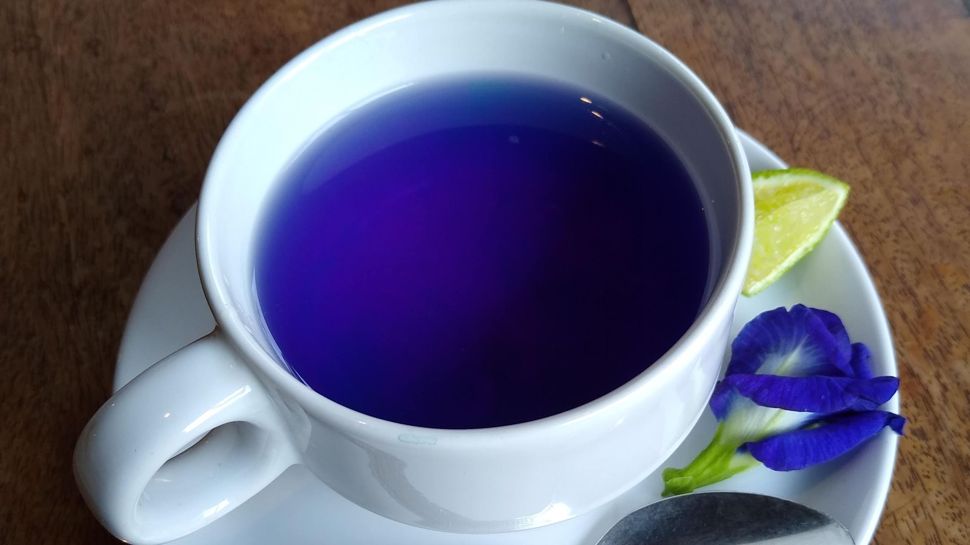 File:Butterfly-pea flower tea 2.jpg