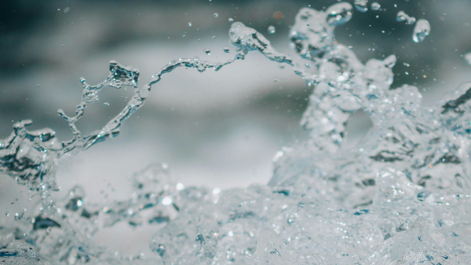clear water close-up photography