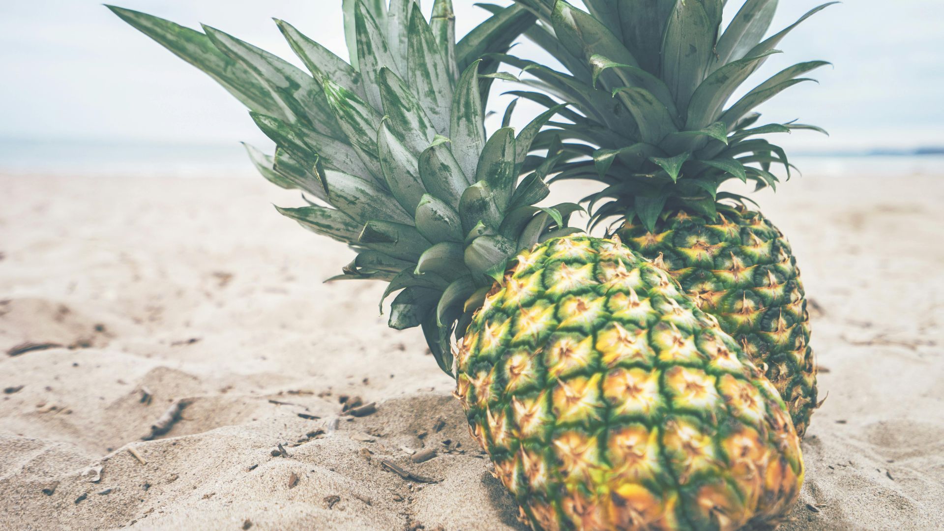 Pineapple Supply Co.