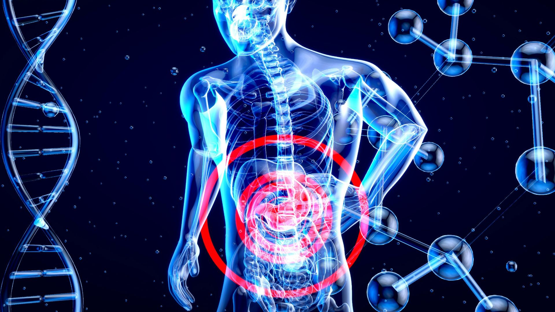 a 3d image of a human with a red circle in his stomach