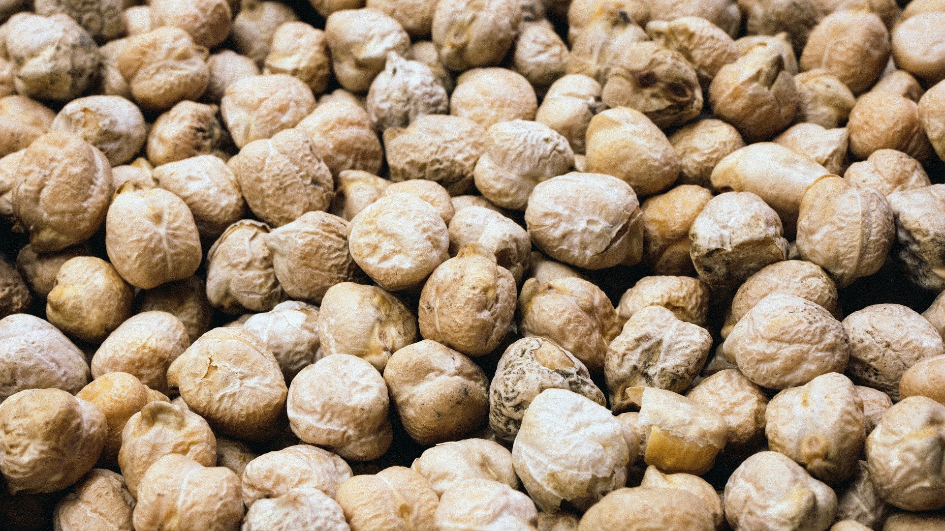 a close up of a bunch of nuts