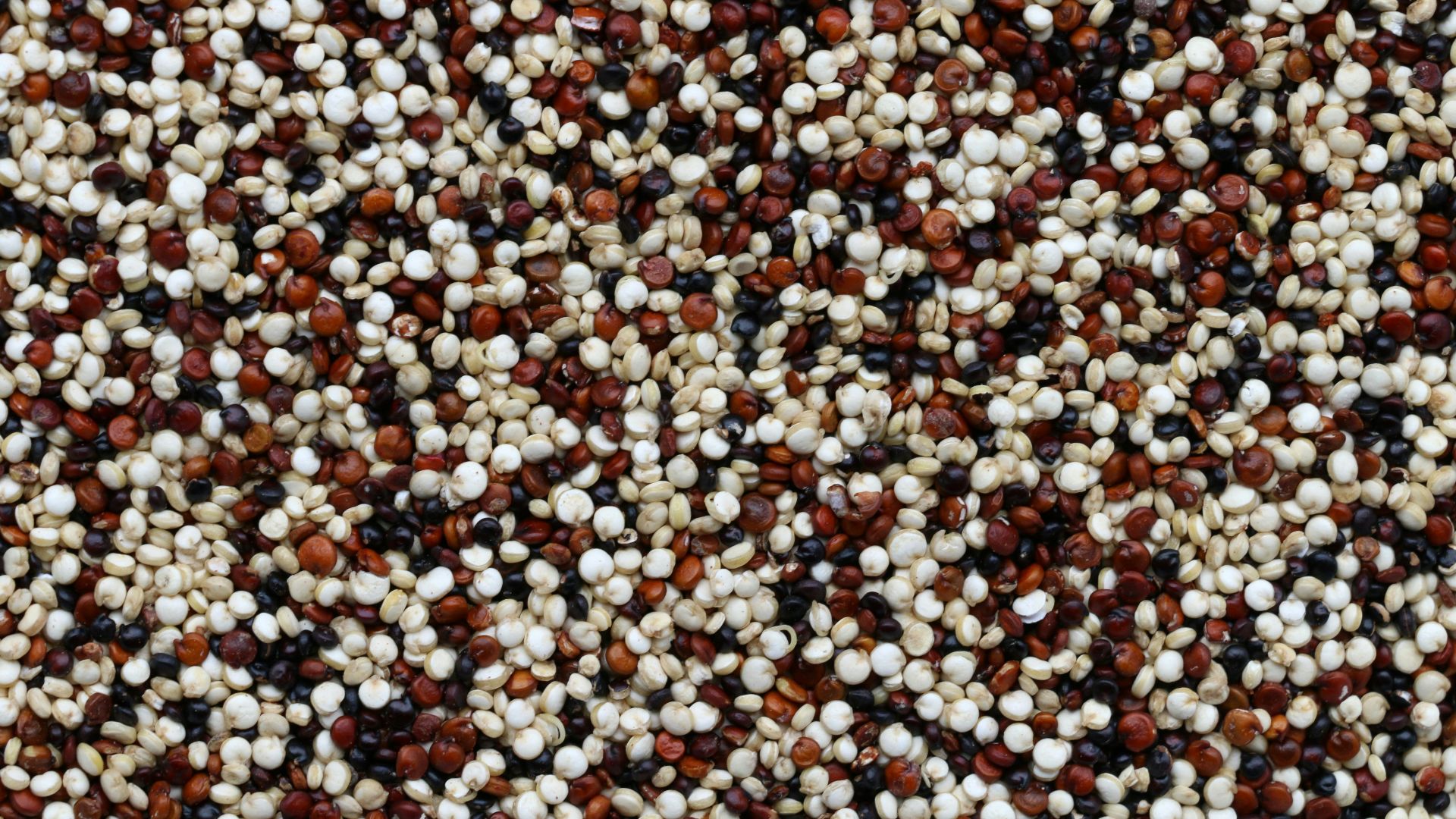 brown and white pebbles on ground