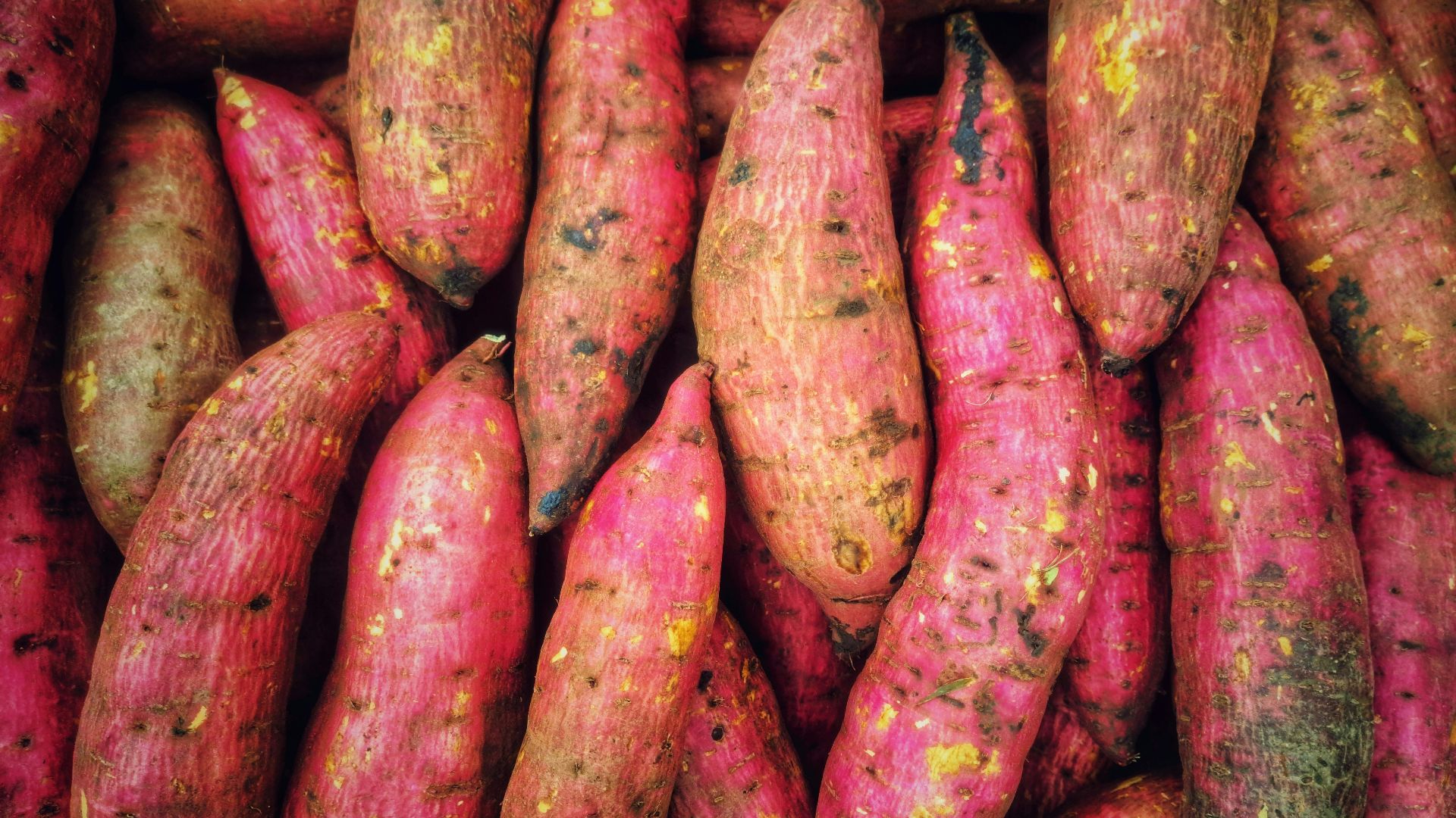 A pile of pink and yellow sweet potatoes