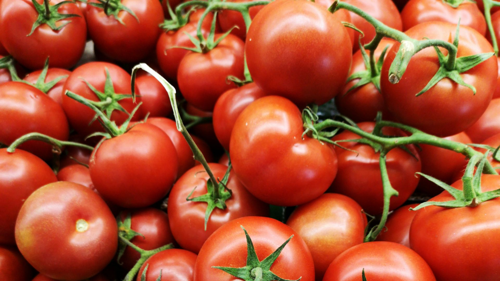 red tomatoes on brown wooden table