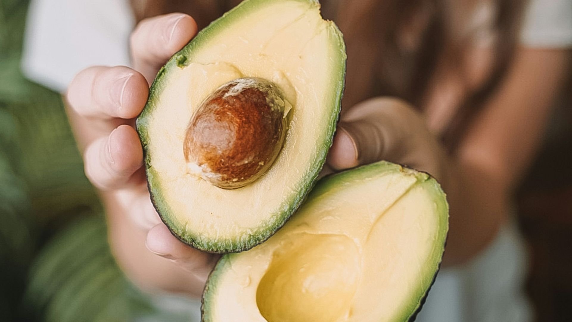 sliced avocado fruit on persons hand