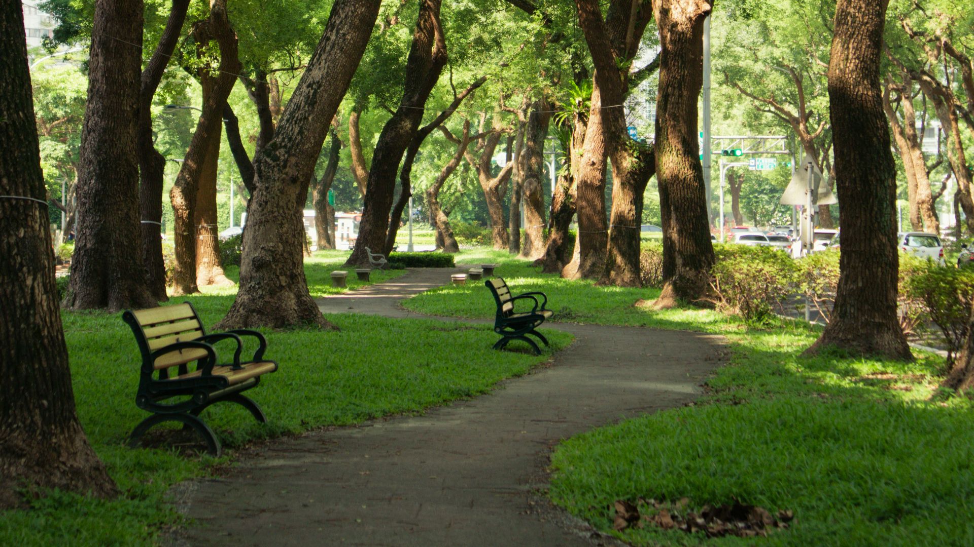 benches in a park