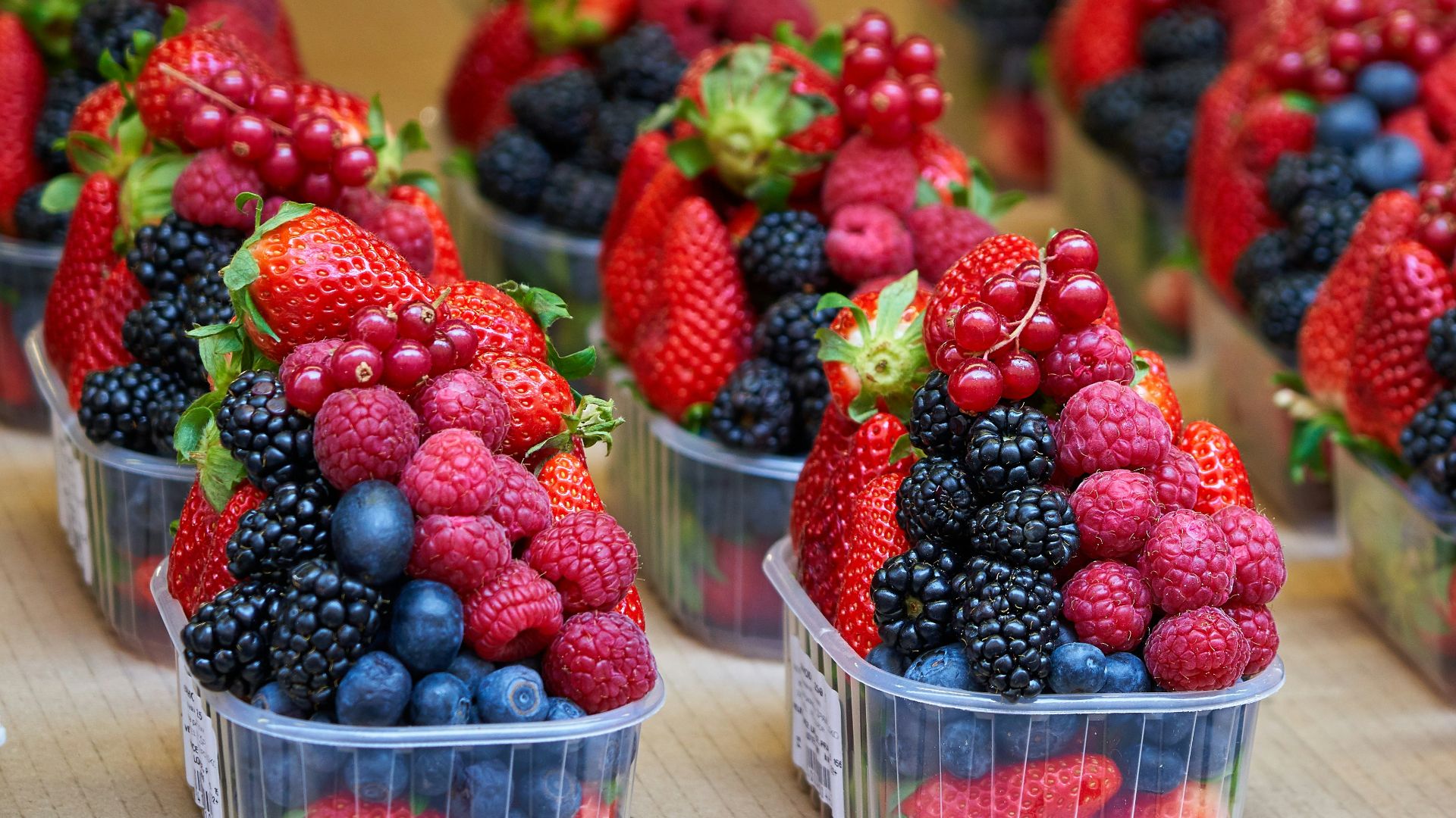 raspberry and blueberry lot