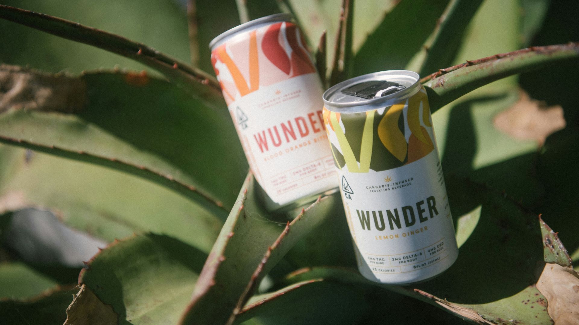 two white and orange can on green leaves