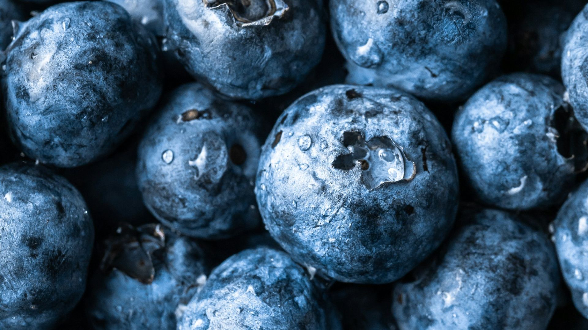 grayscale photography of round fruits