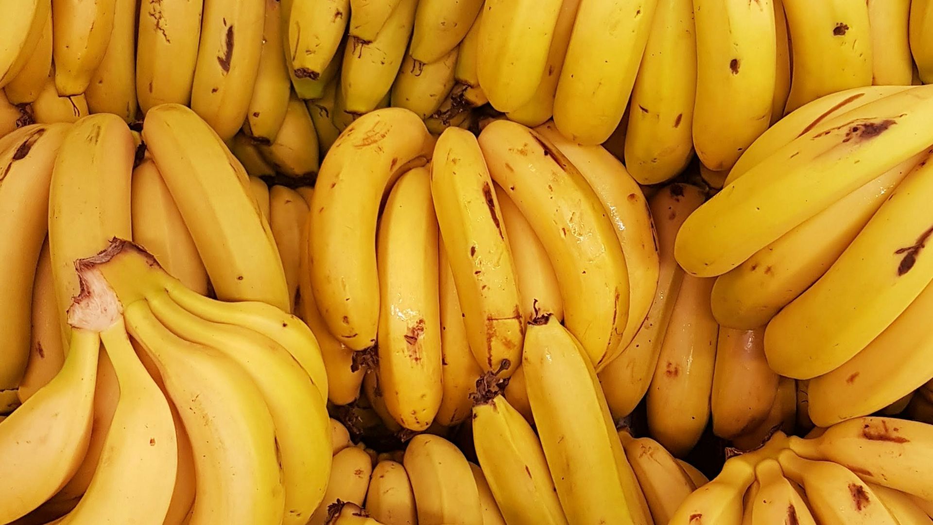 yellow banana fruit on brown wooden table