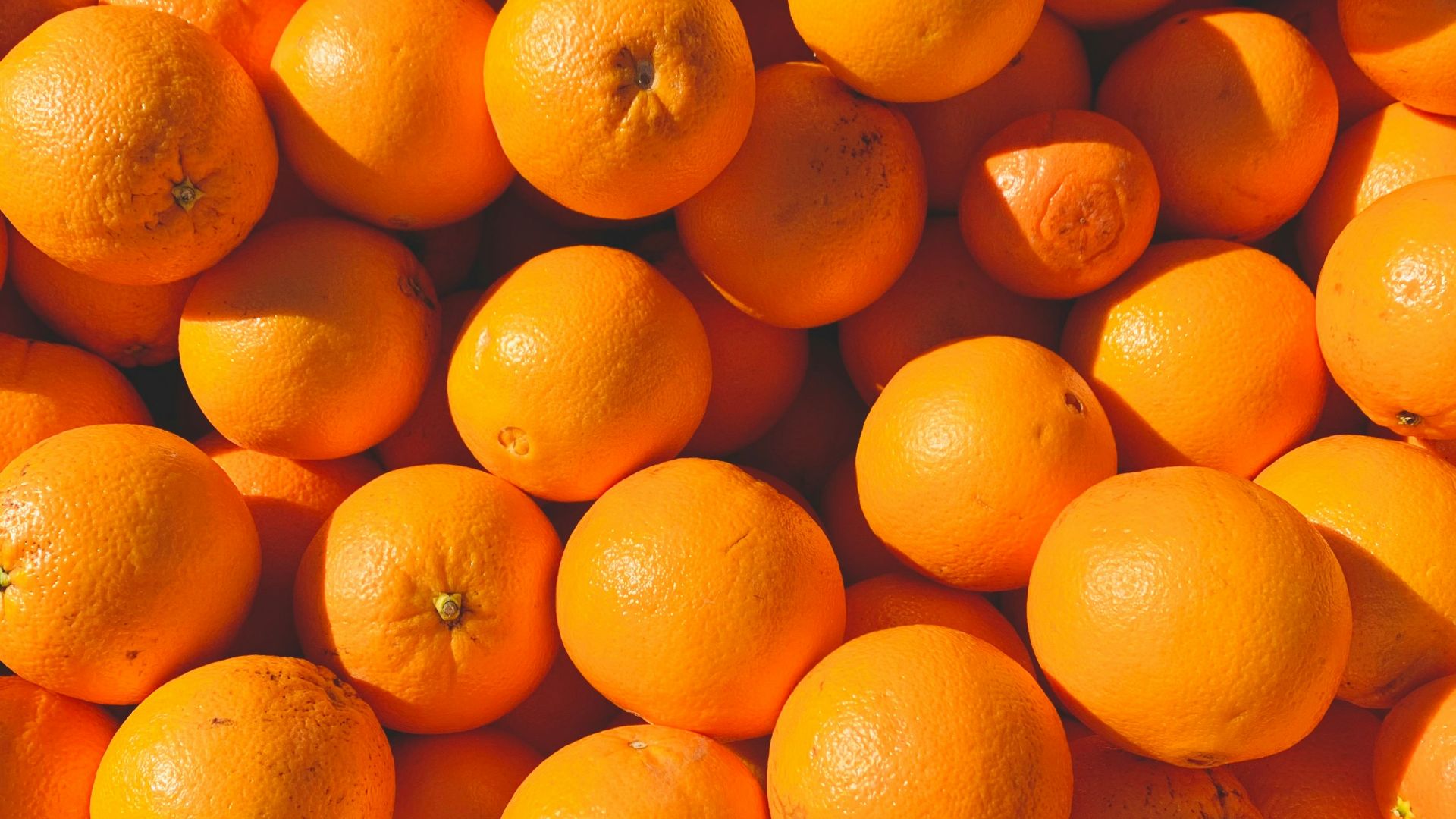 orange fruits on white ceramic plate