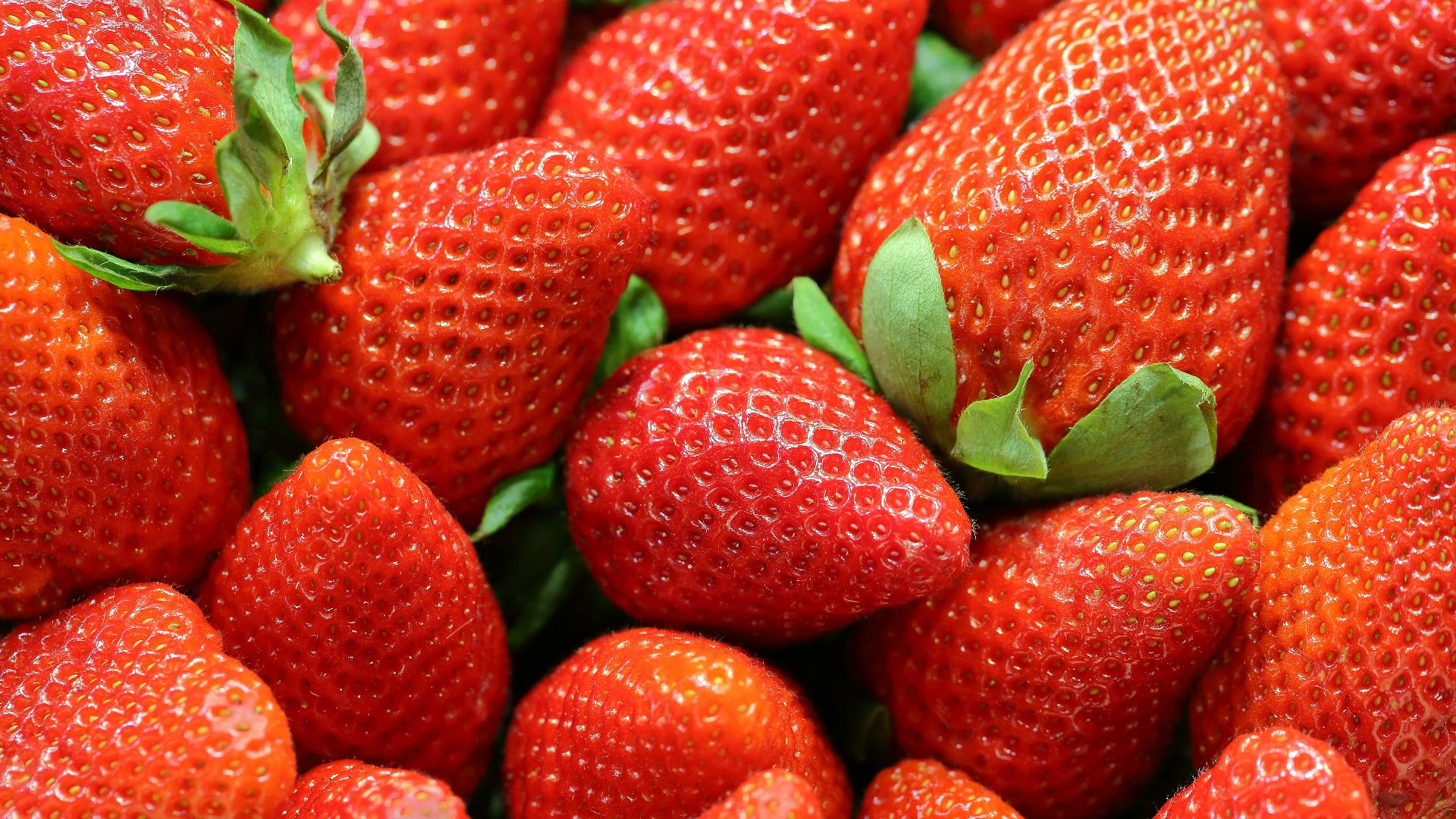 strawberry lot
