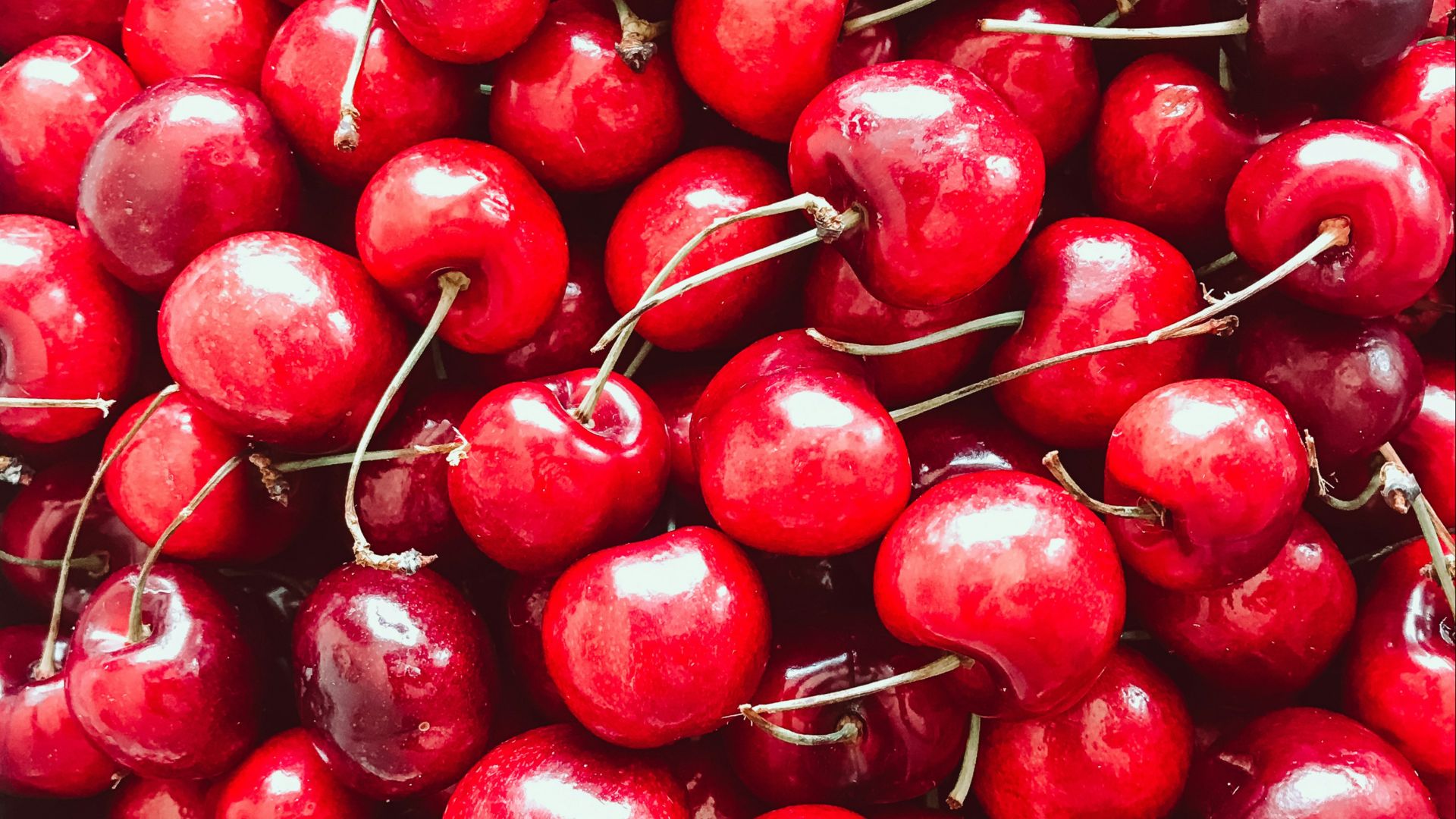 red cherries in close up photography
