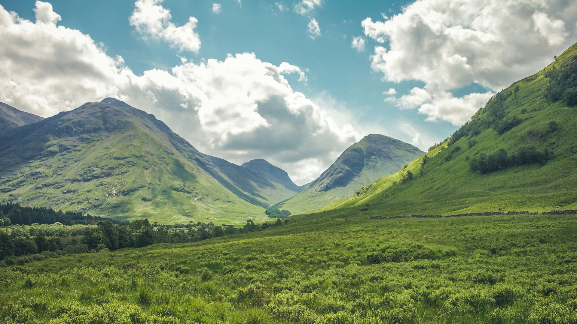 mountain covered with green grass