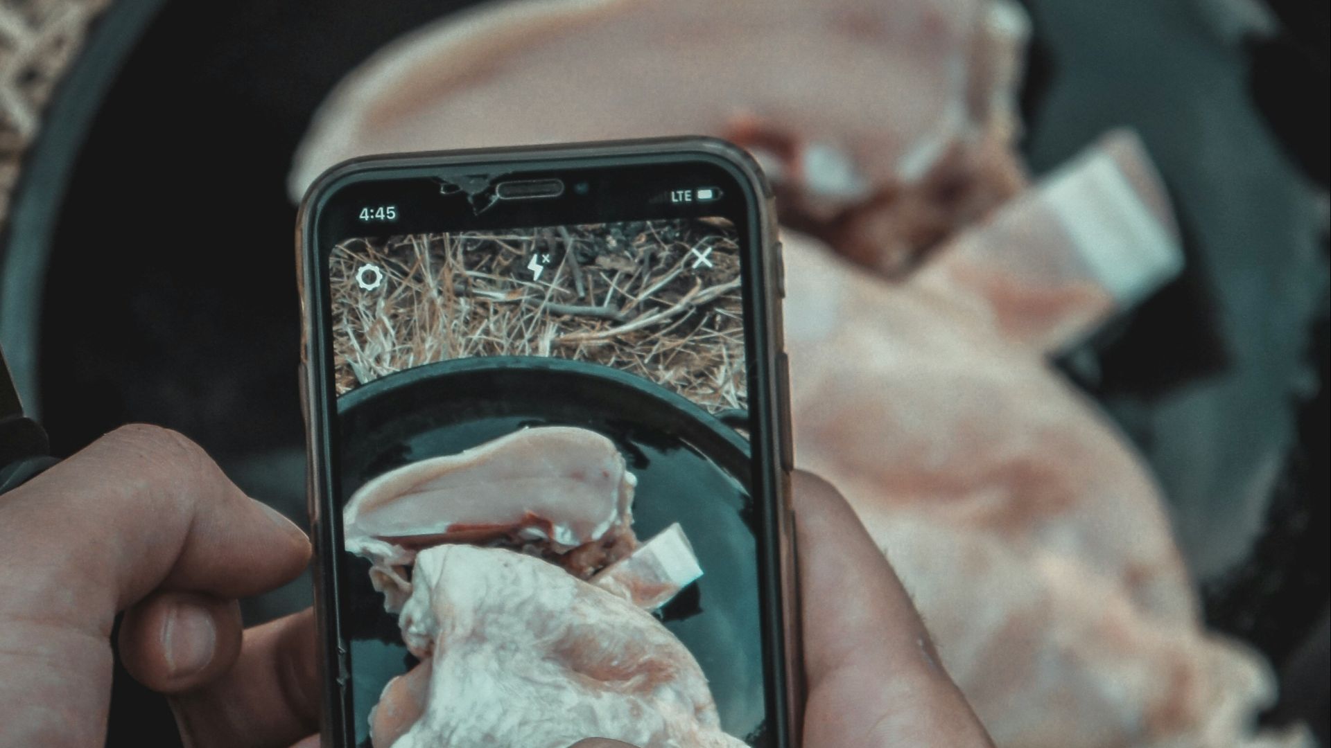person taking photo of meat