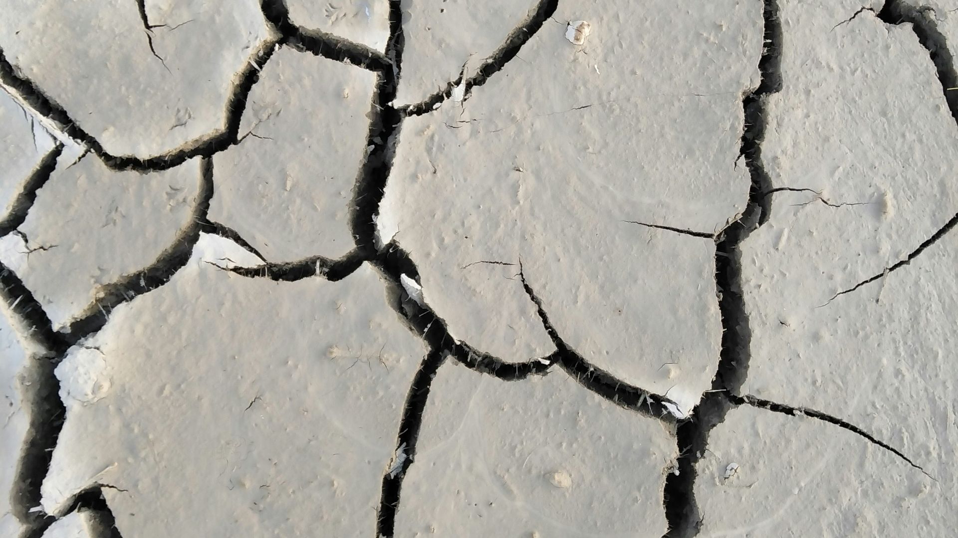 a crack in the ground that has been cracked