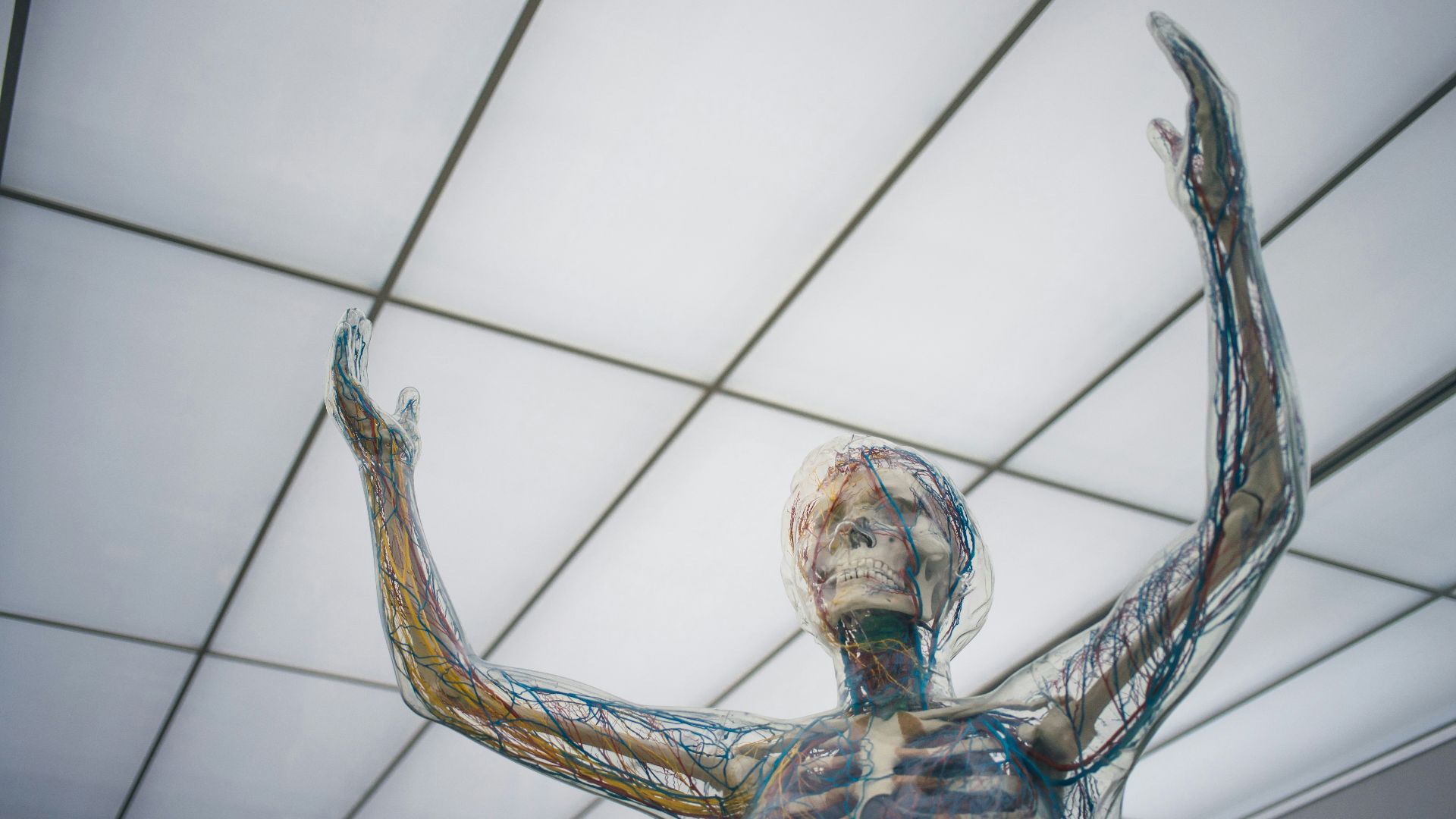 human body sculpture