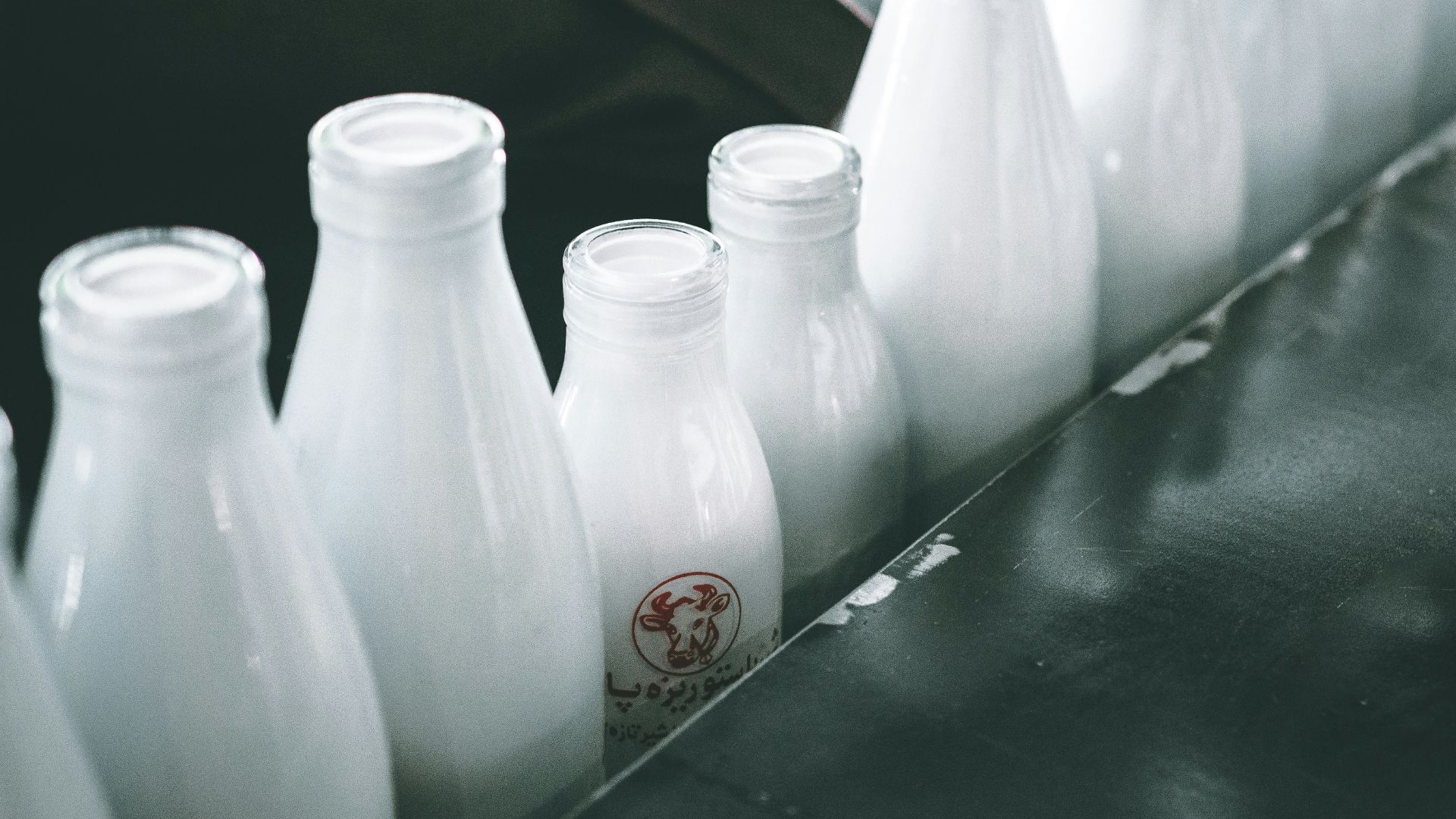 photo of milk bottle lot