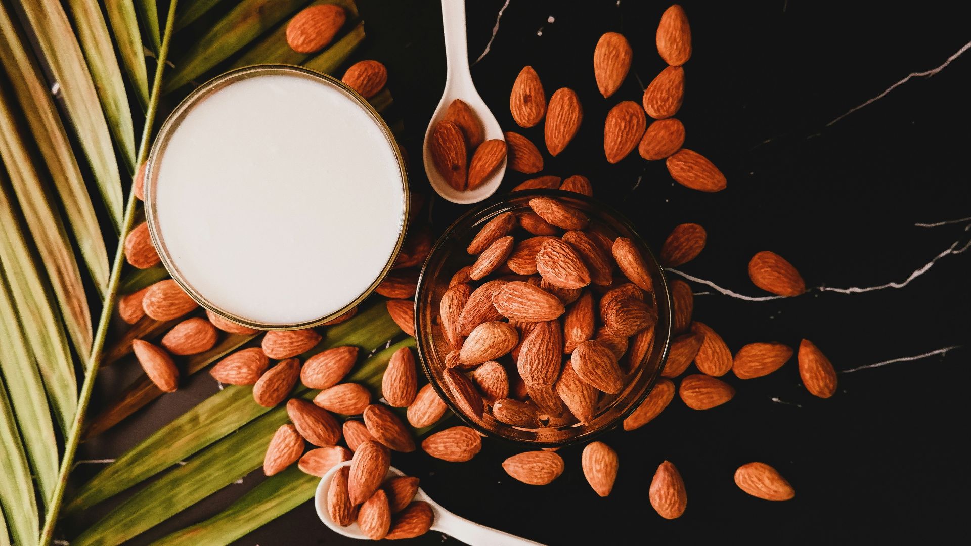 brown coffee beans on white ceramic mug beside stainless steel spoon