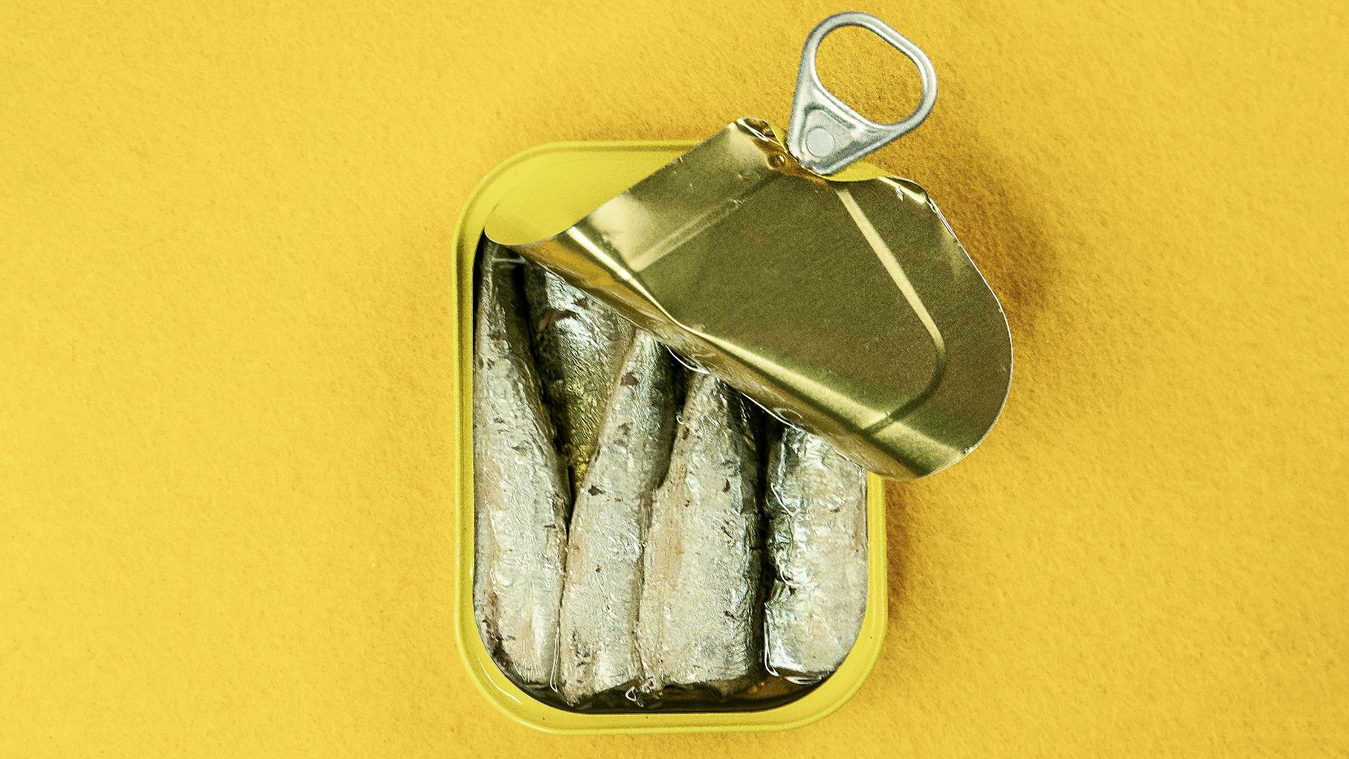 Karen Laårk Boshoff