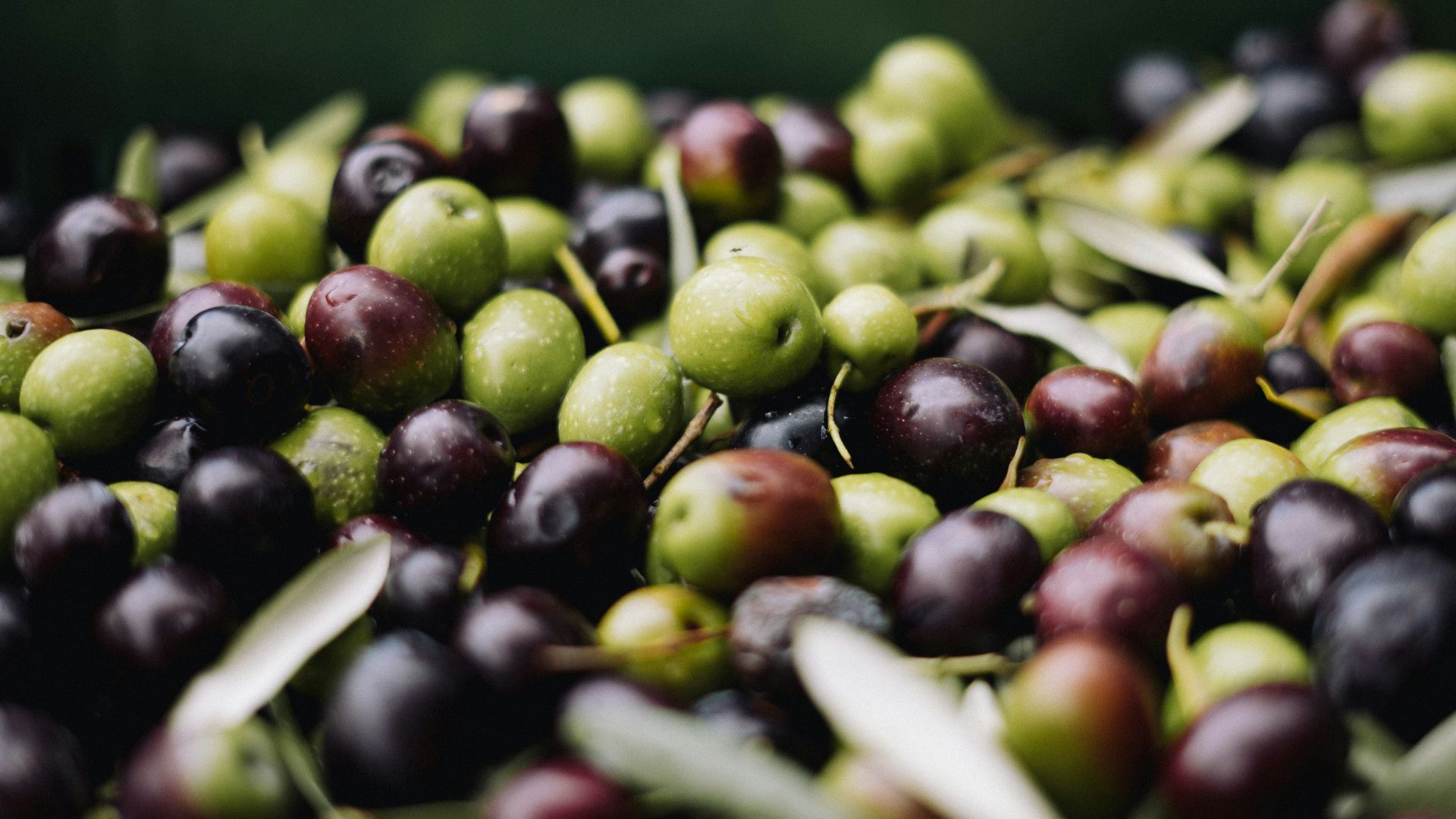 a pile of green and black olives sitting on top of each other