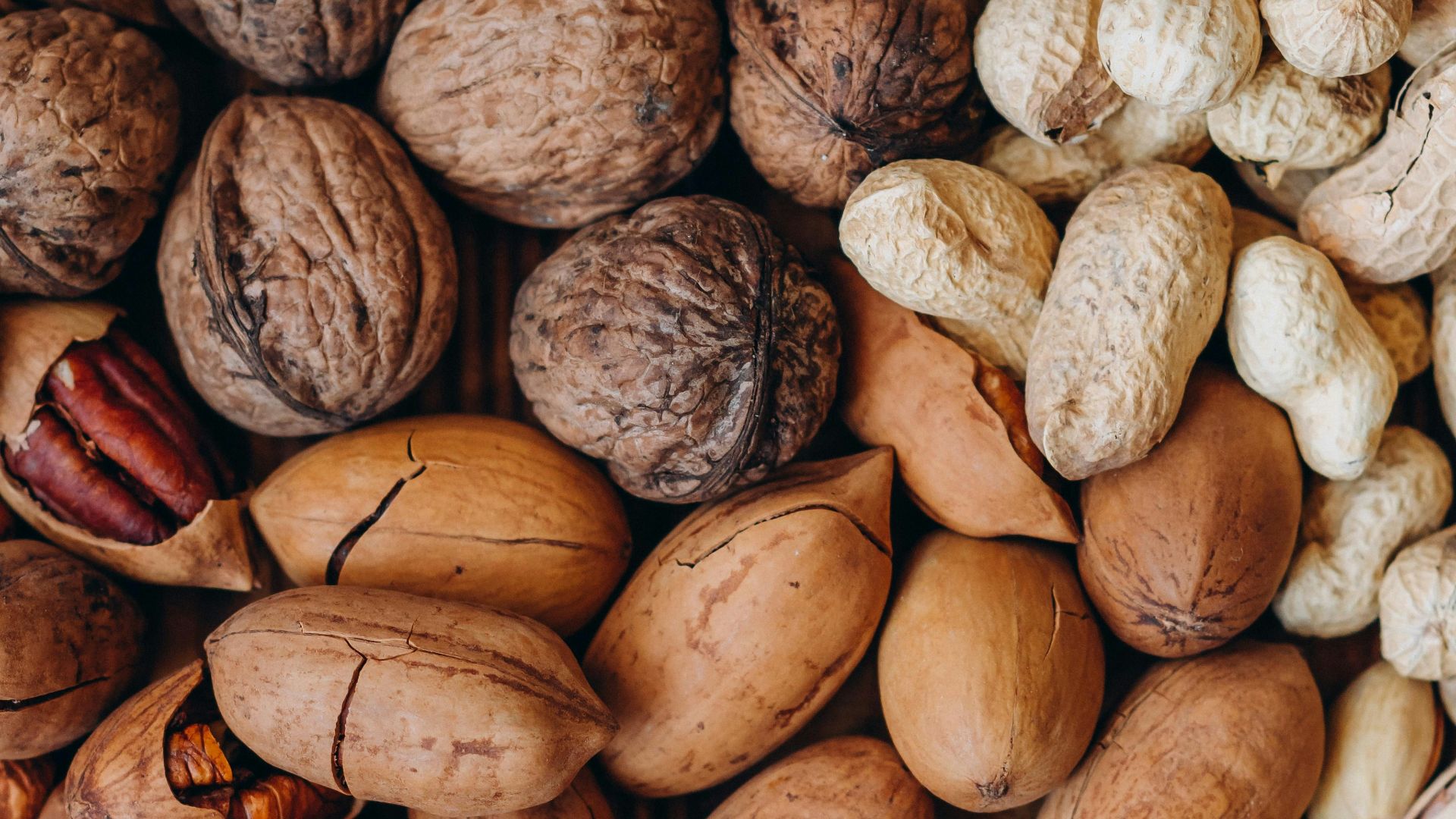 brown and beige nut lot