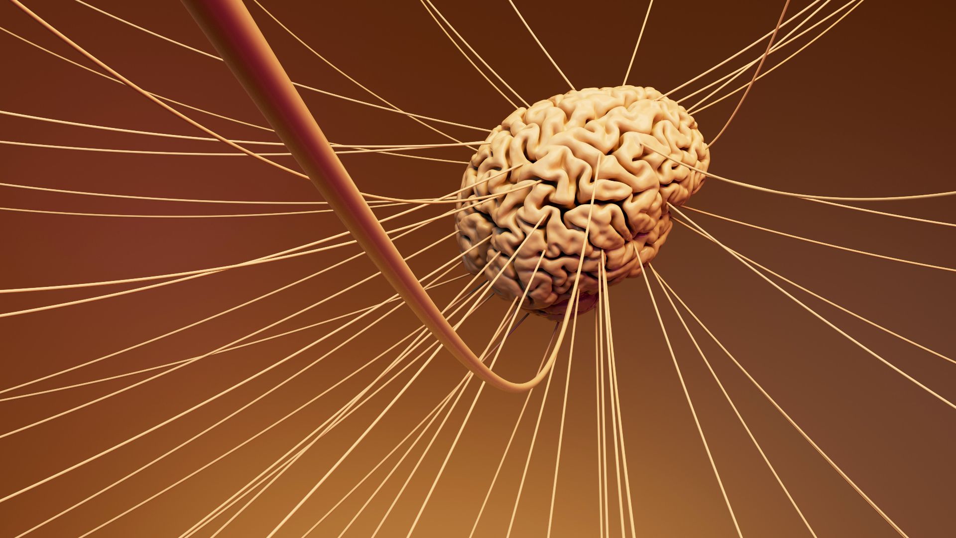 A computer generated image of a human brain