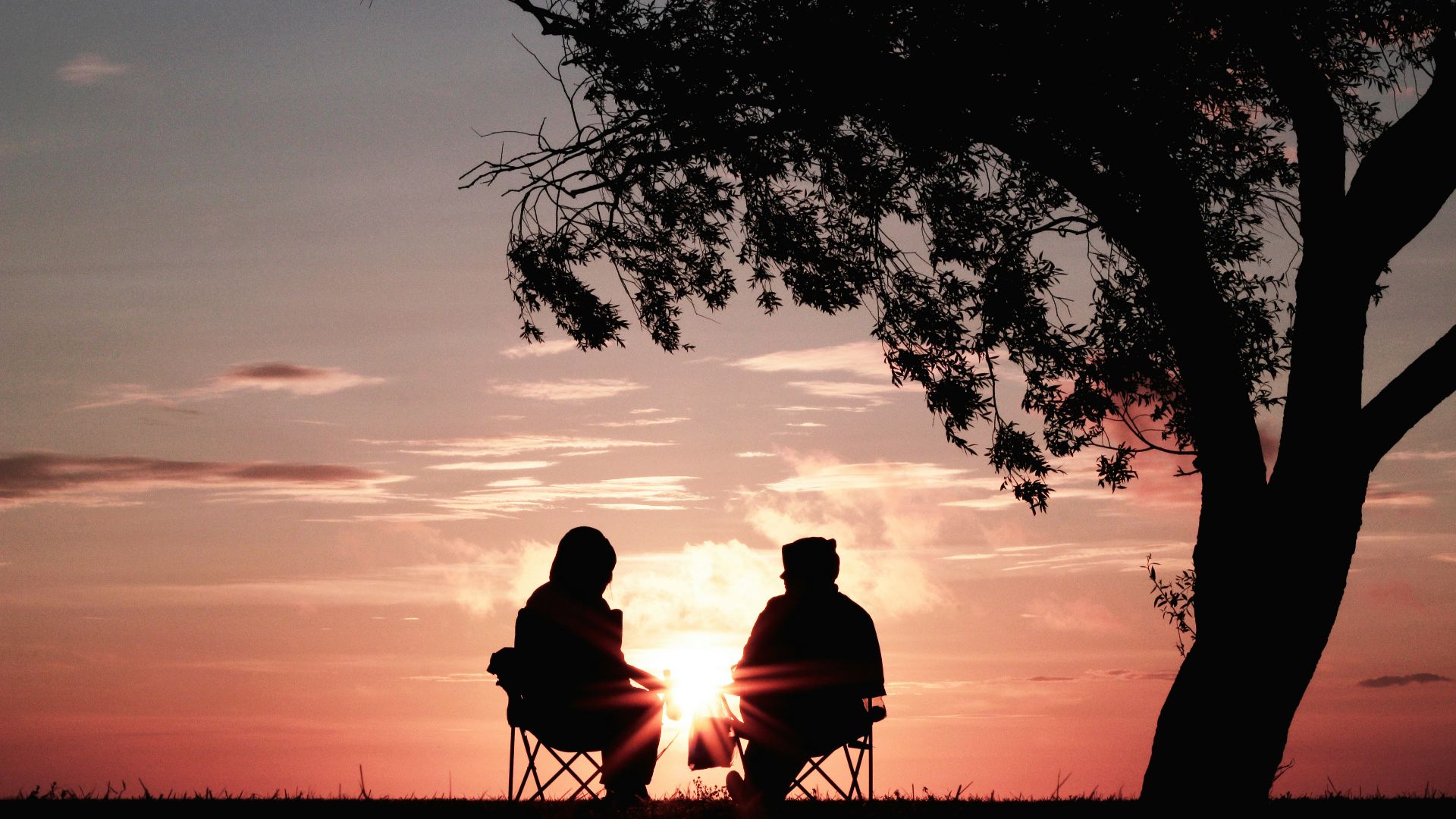silhouette of two person sitting on chair near tree