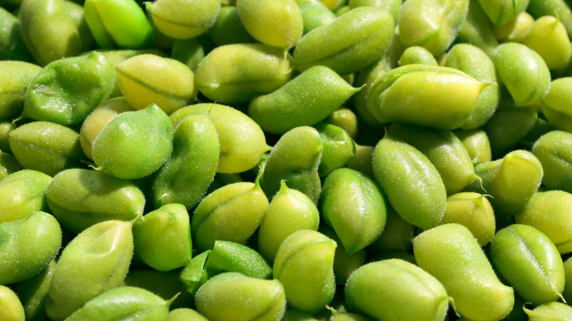 green fruits